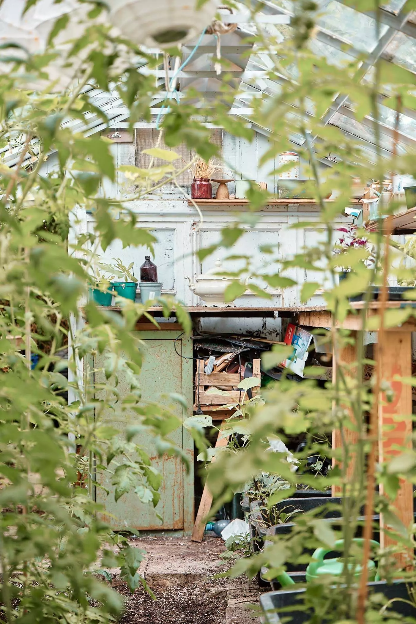 2024_07_23_femtastics_Lovis_036