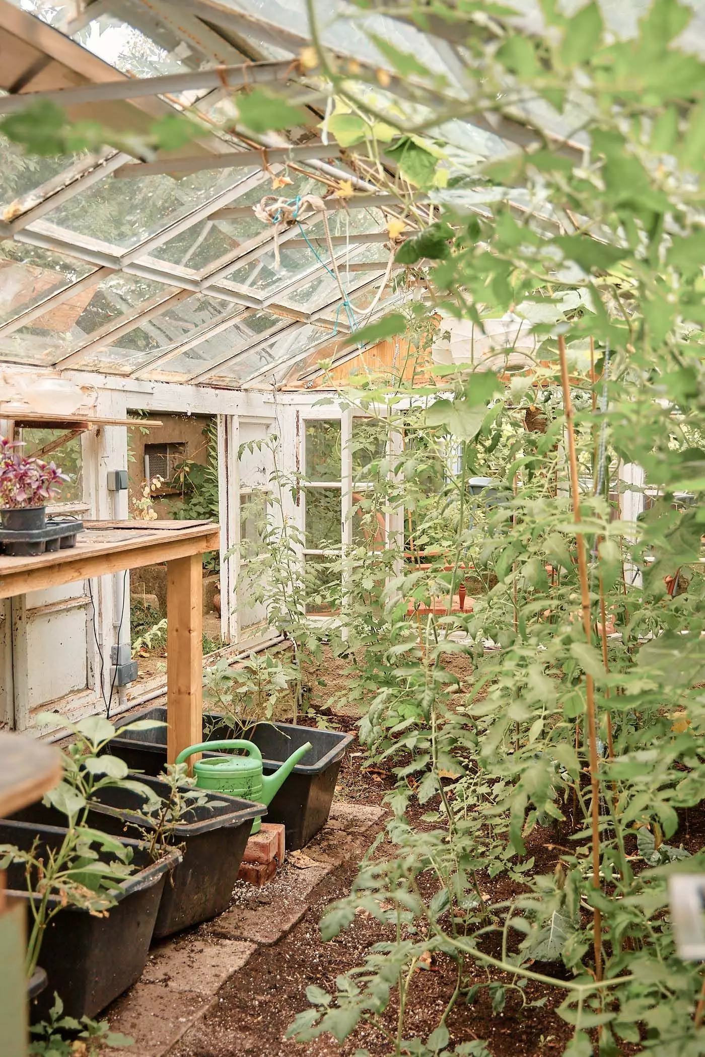 2024_07_23_femtastics_Lovis_039