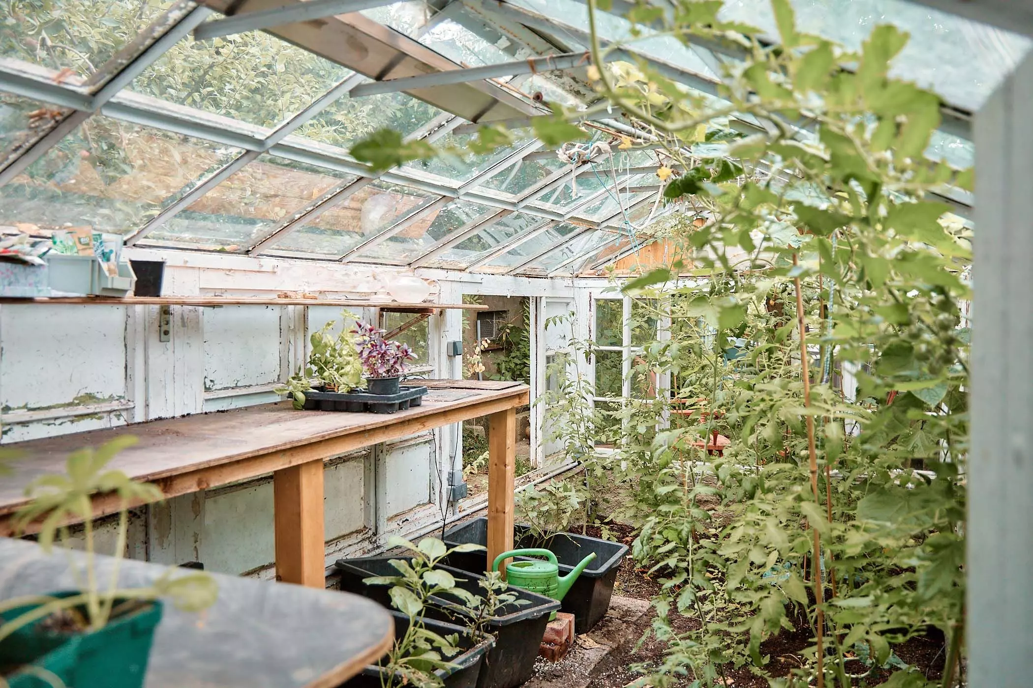 2024_07_23_femtastics_Lovis_040