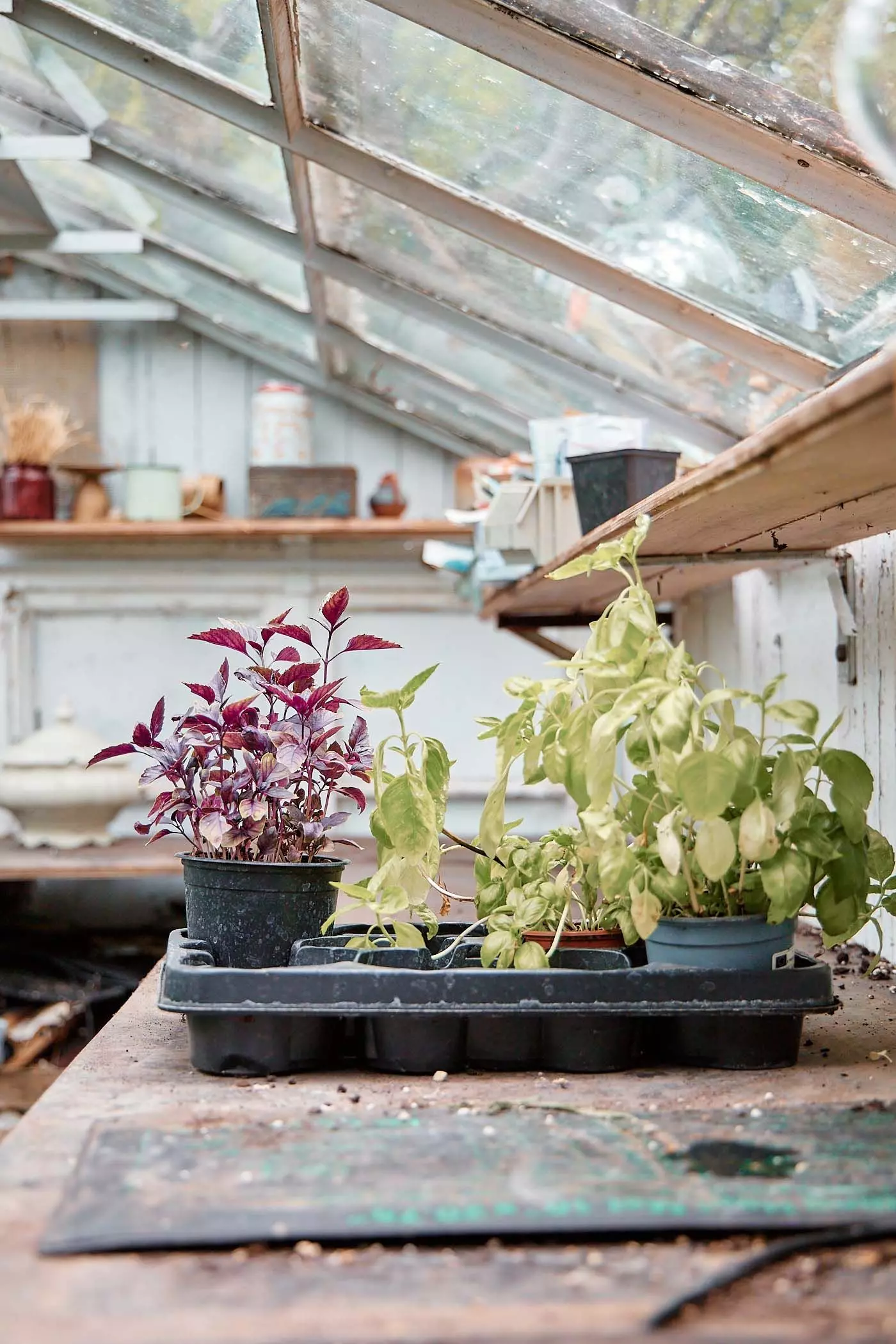 2024_07_23_femtastics_Lovis_042