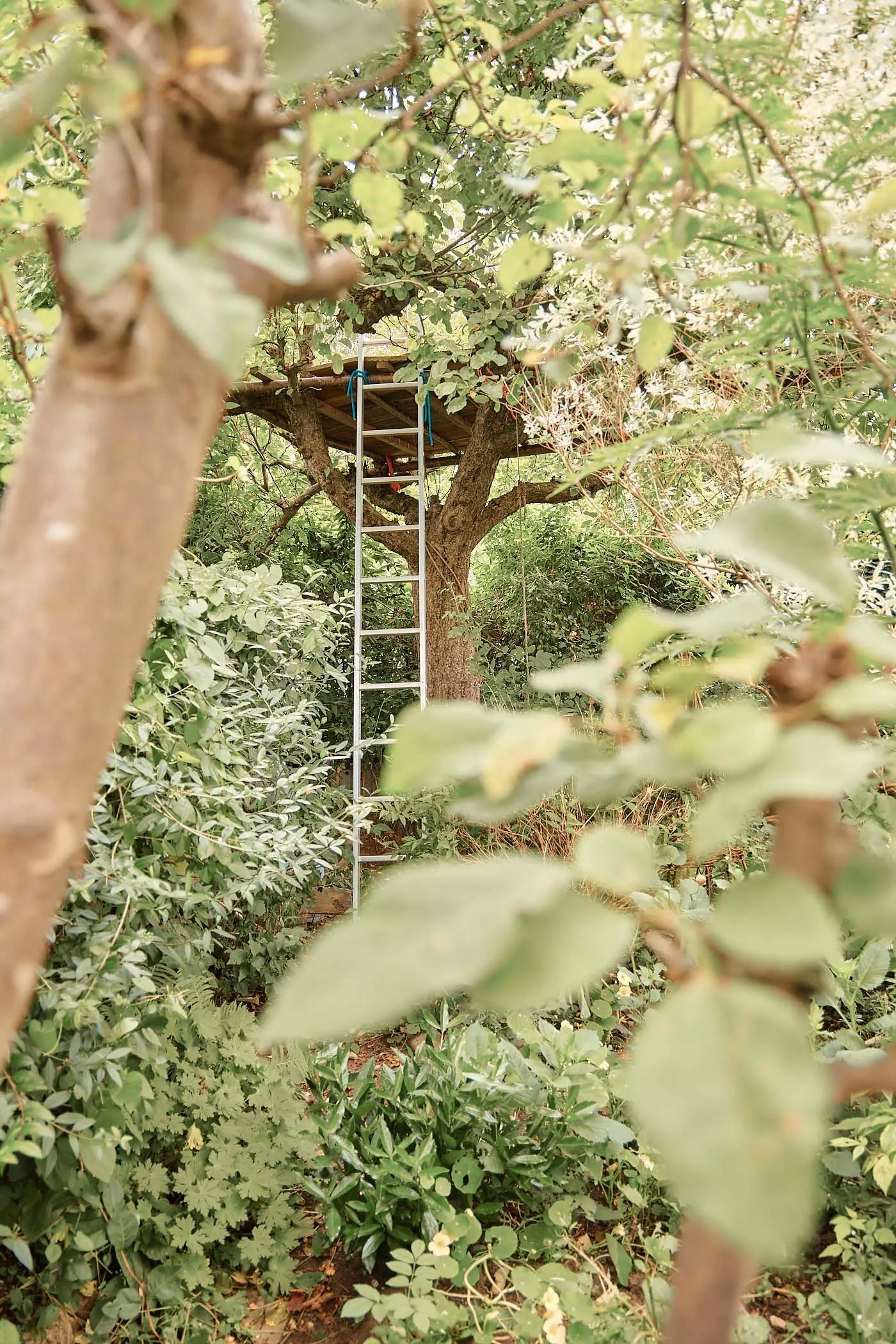 2024_07_23_femtastics_Lovis_045