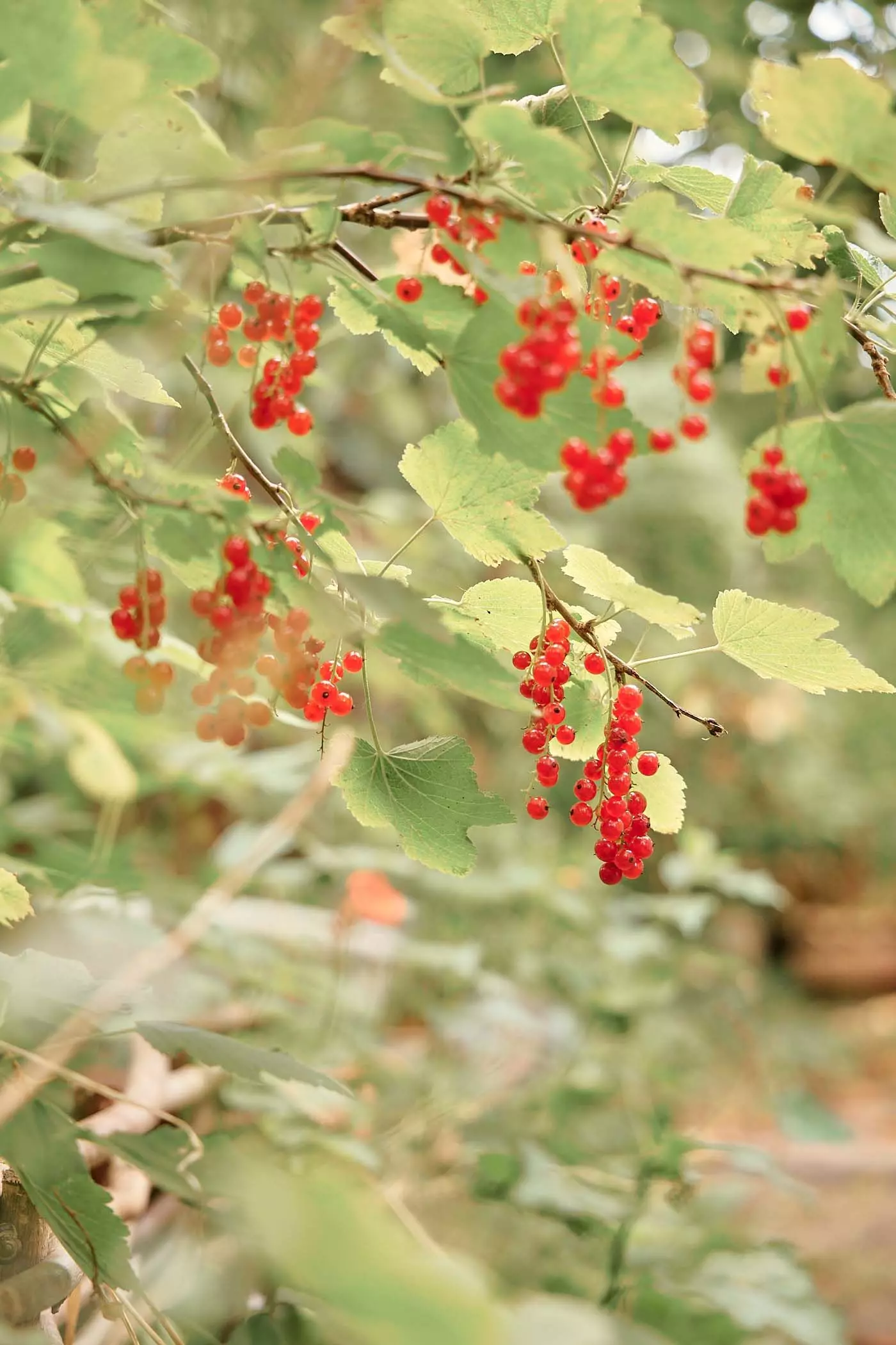 2024_07_23_femtastics_Lovis_046