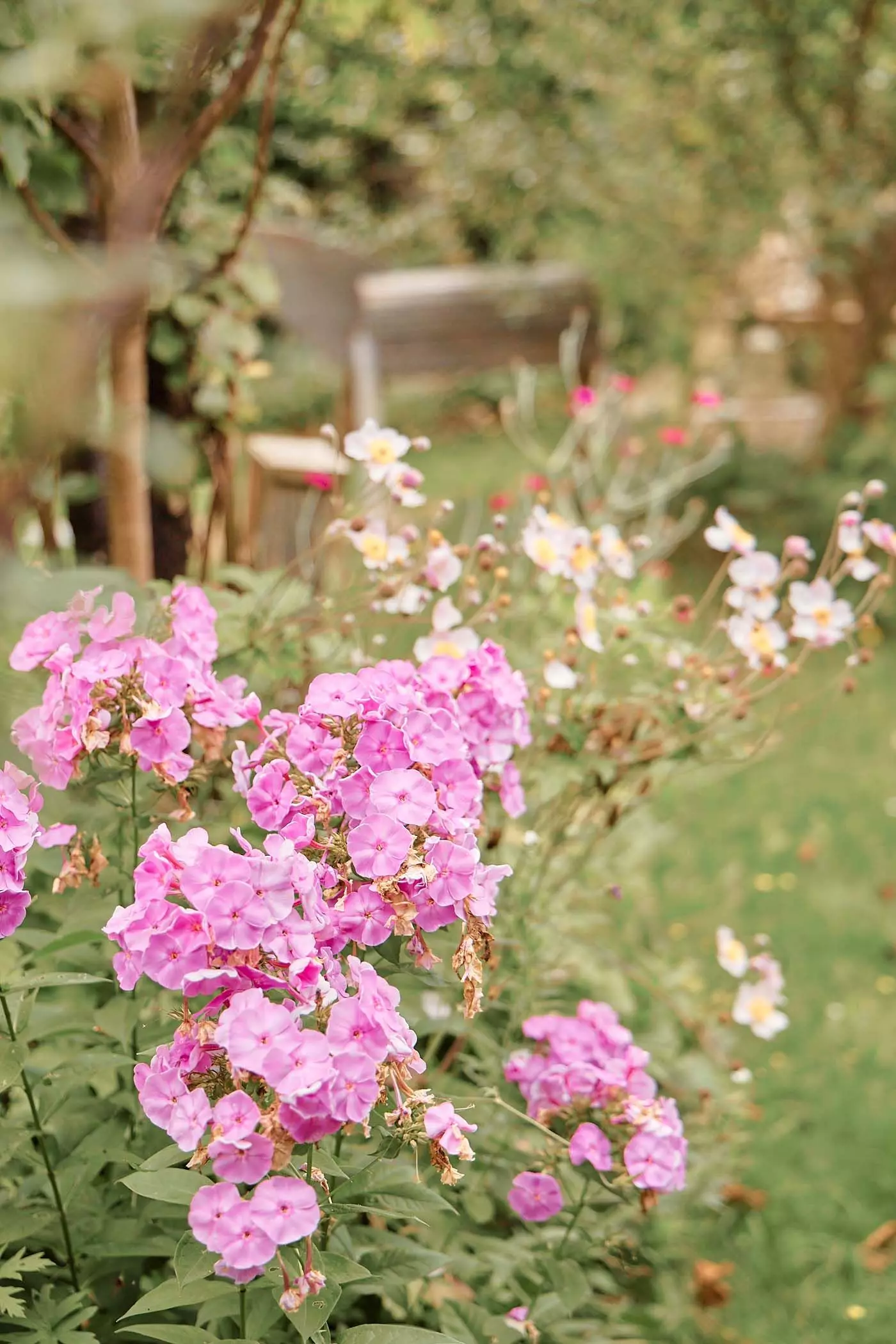 2024_07_23_femtastics_Lovis_052