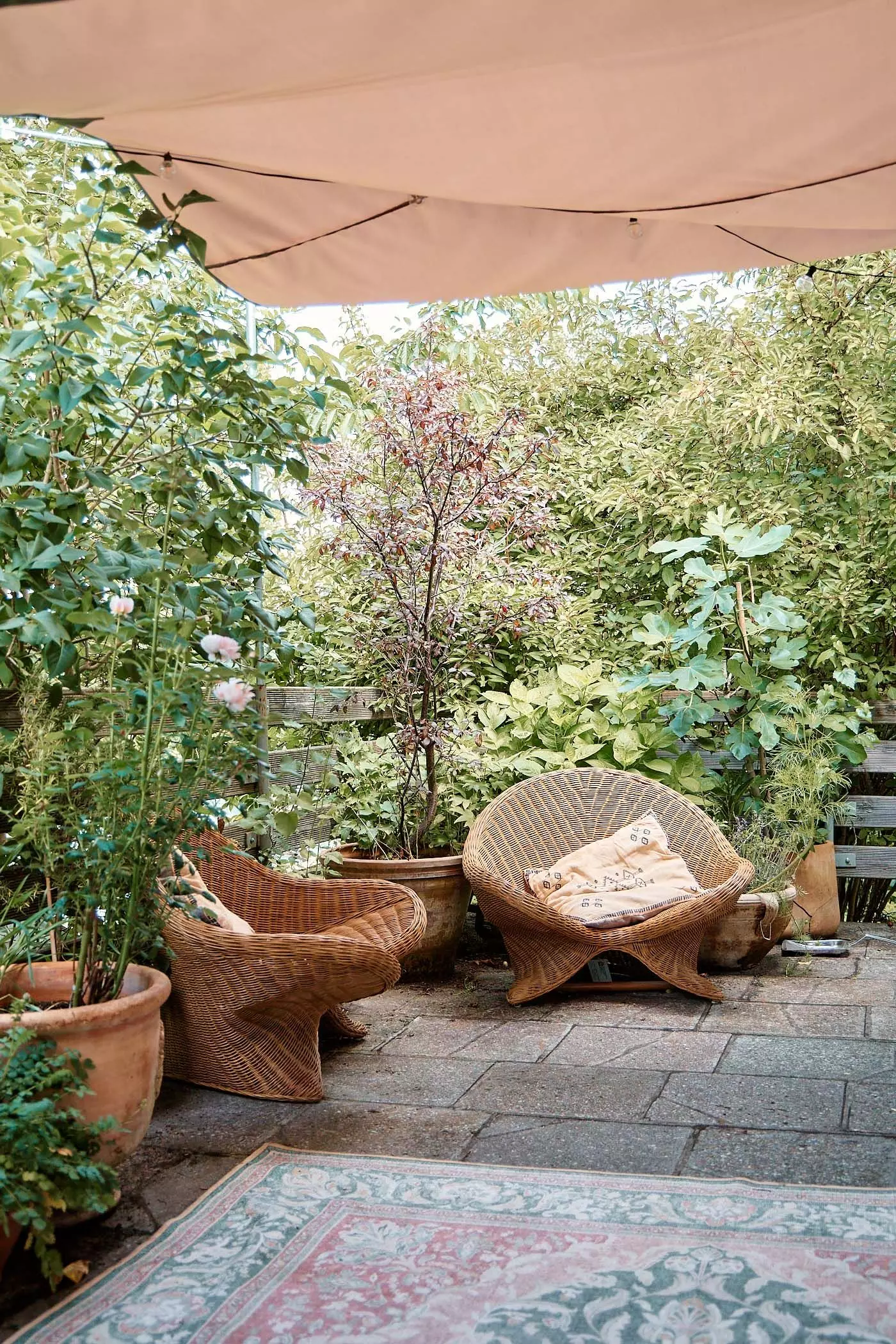 2024_07_23_femtastics_Lovis_063