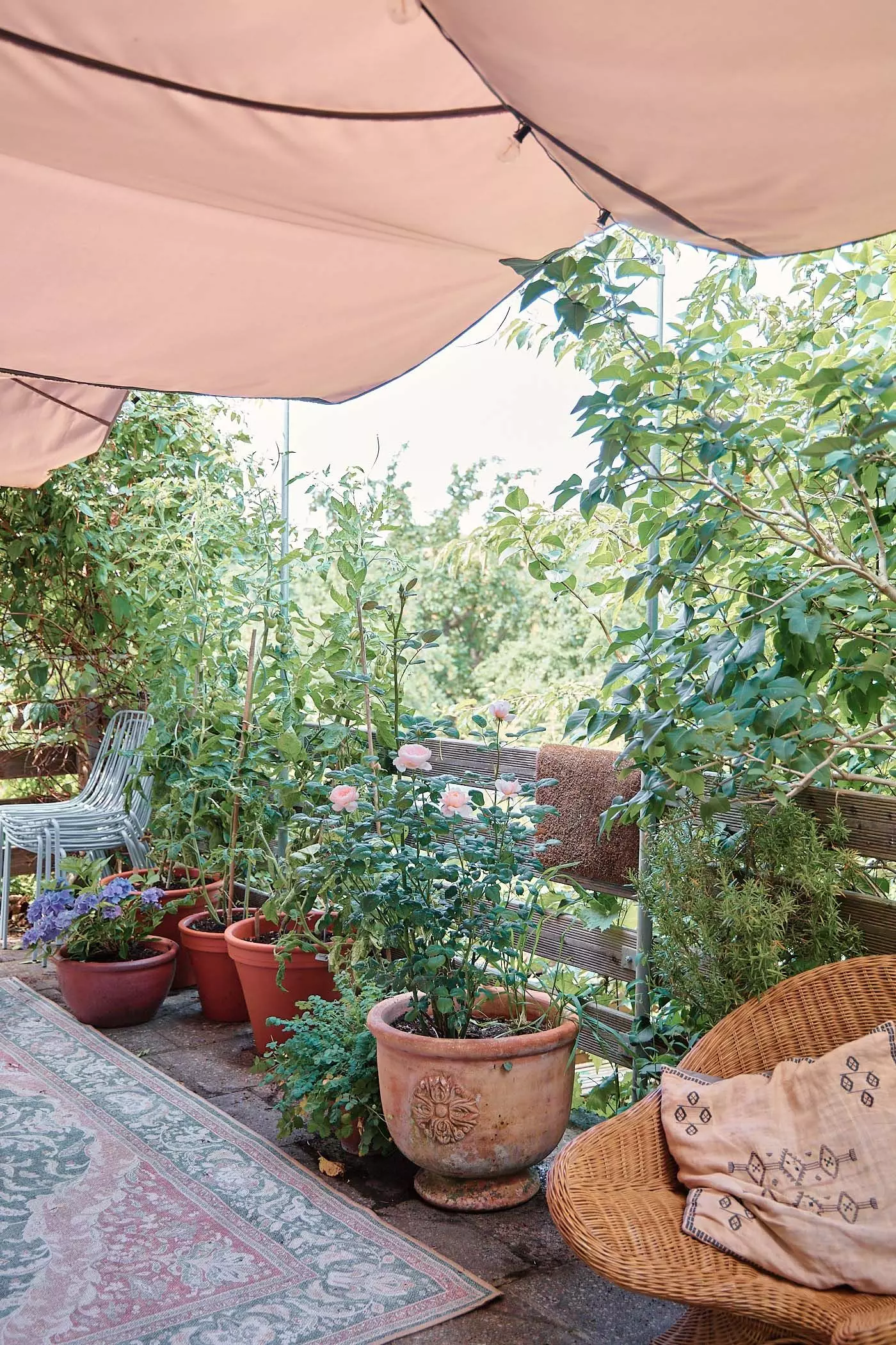 2024_07_23_femtastics_Lovis_064