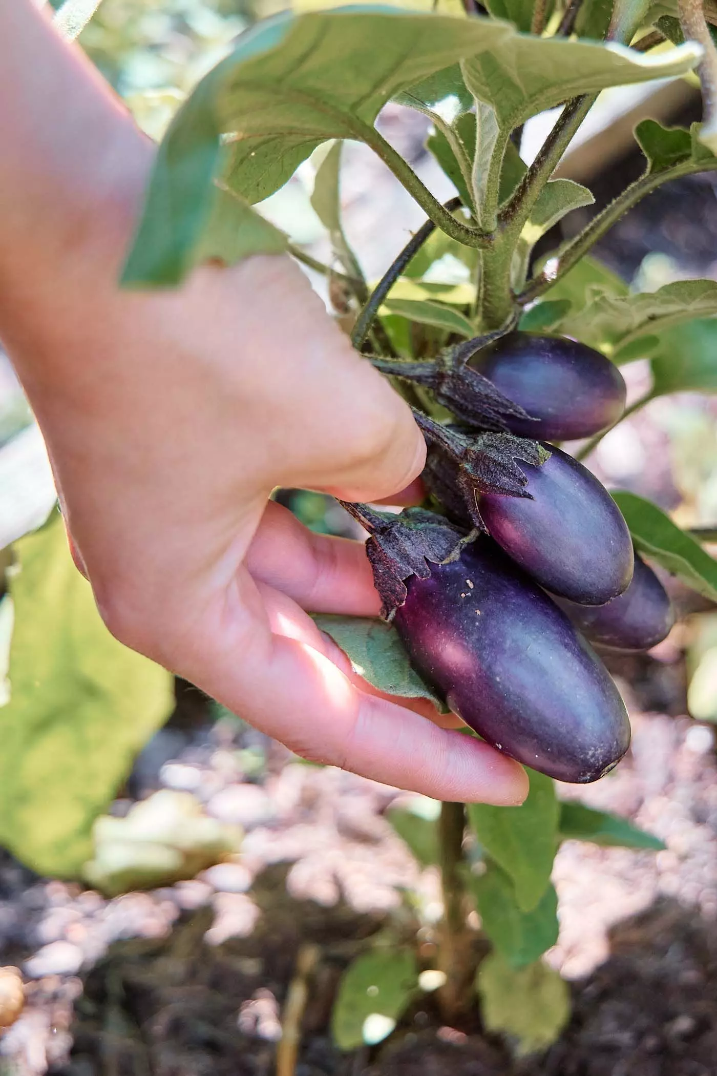 2024_07_23_femtastics_Lovis_076