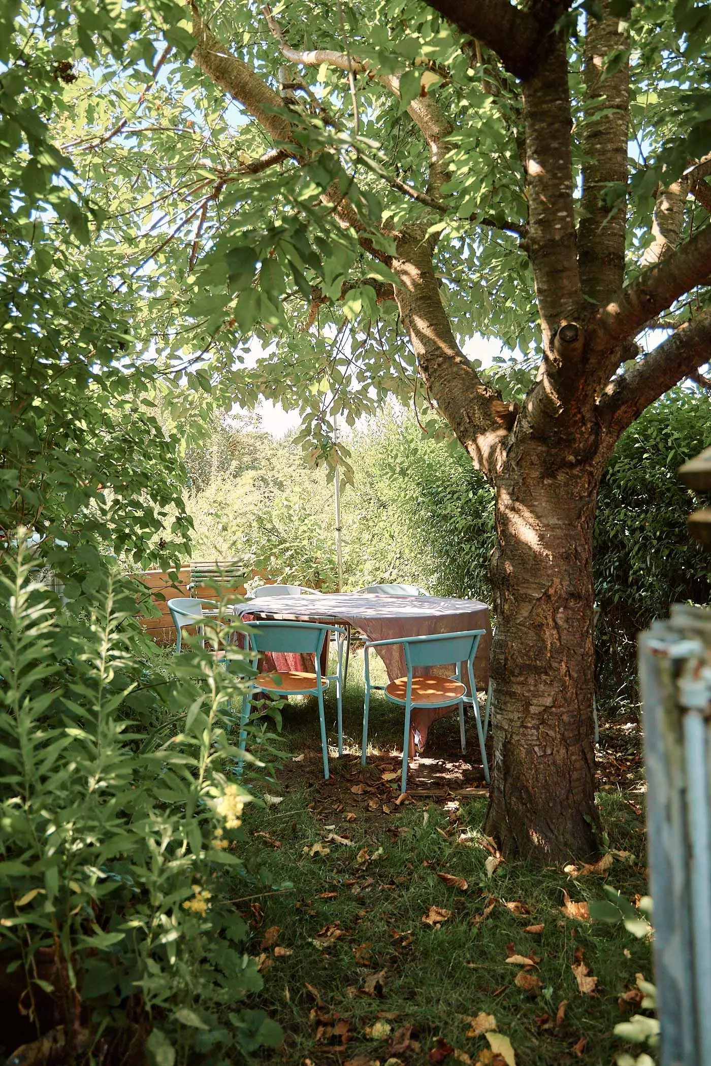 2024_07_23_femtastics_Lovis_080