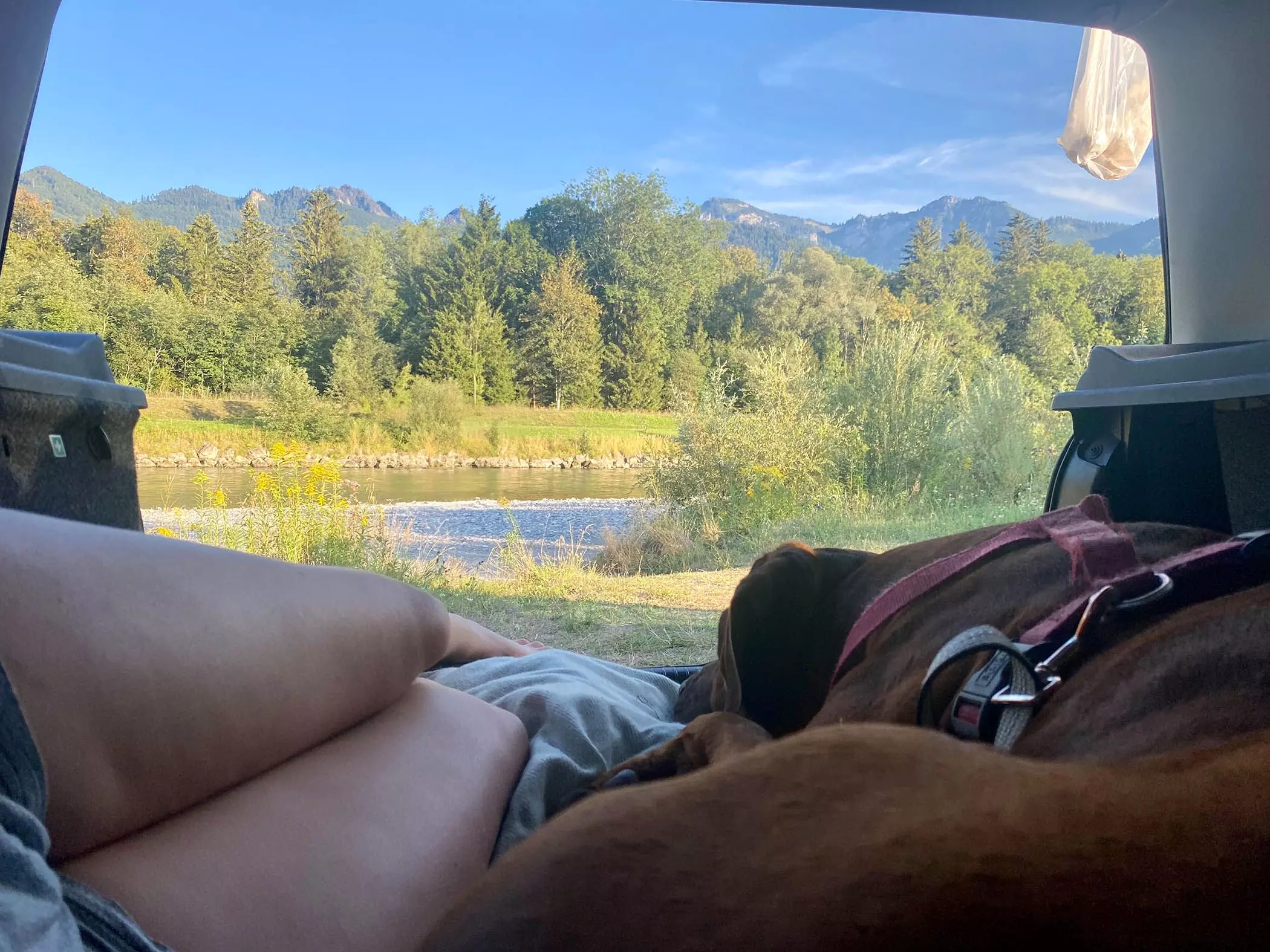 3-reisen-mit-hund
