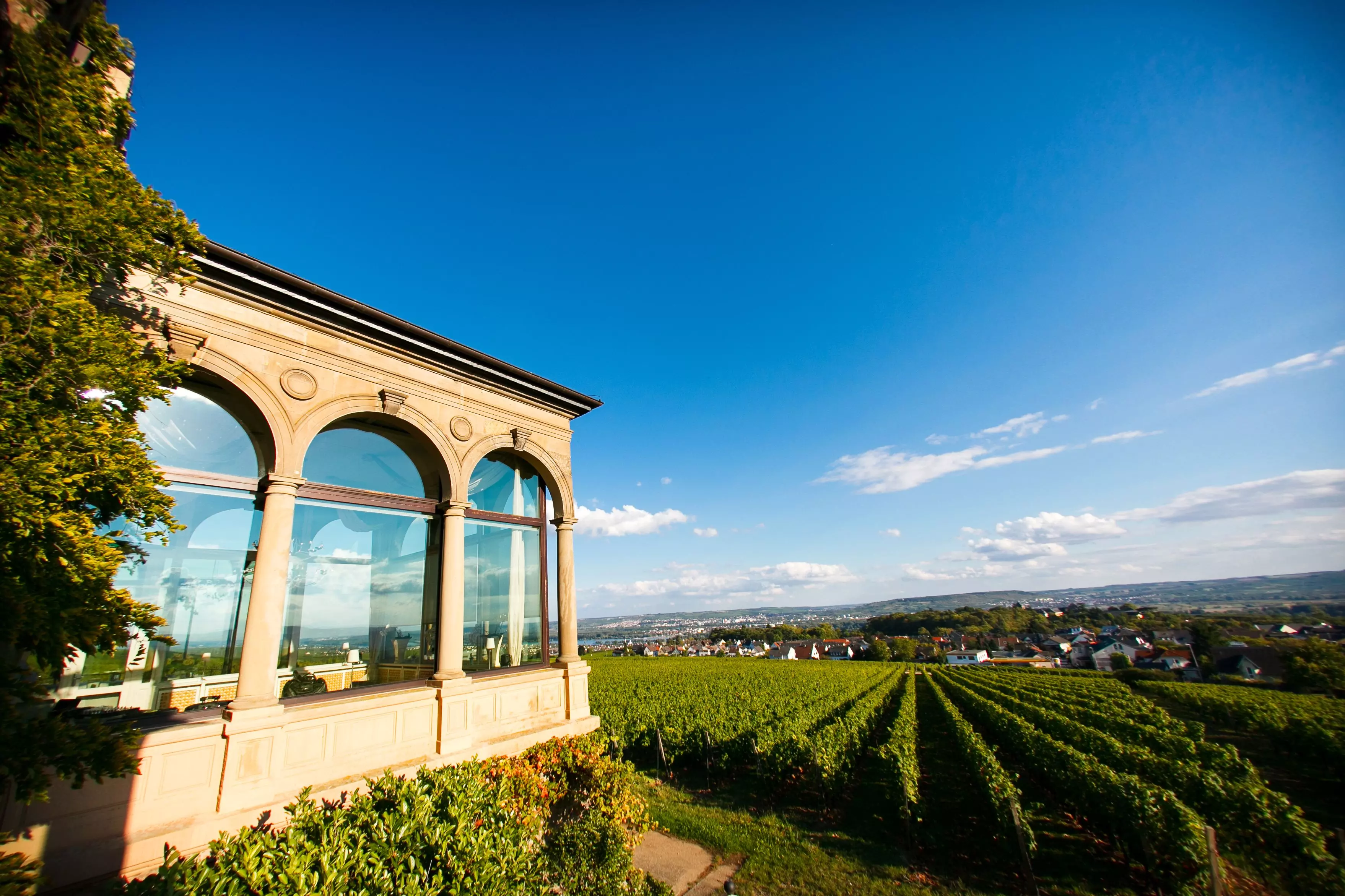 Burg Restaurant Schwarzenstein im Weinberg