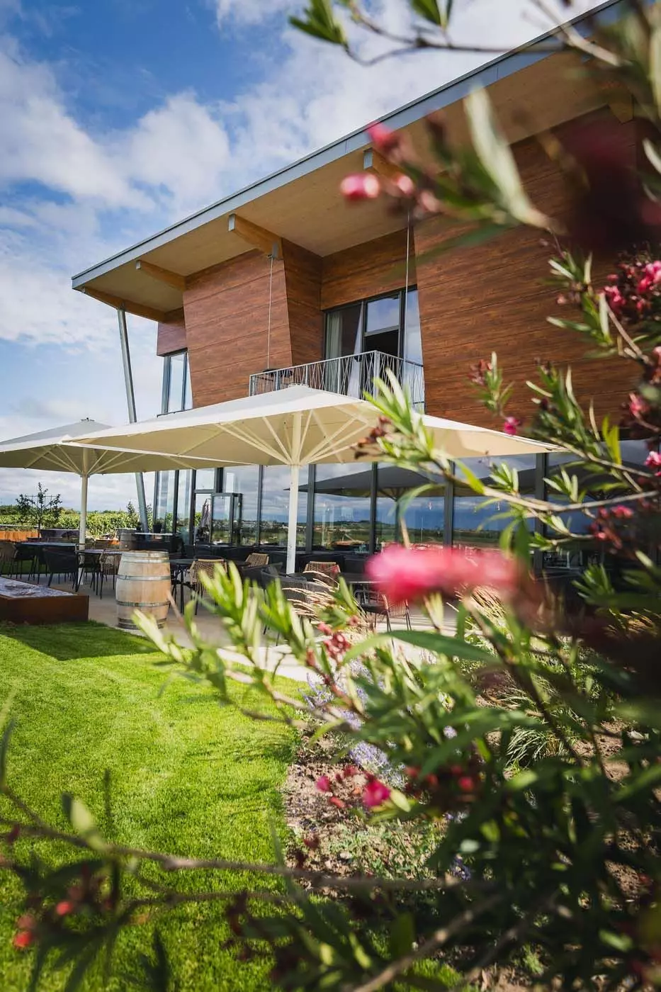 Mein Weinzuhause mit Garten