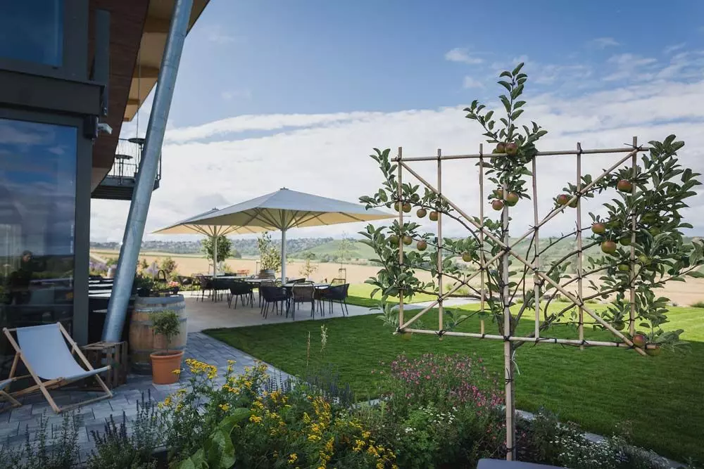 Mein Weinzuhause Garten