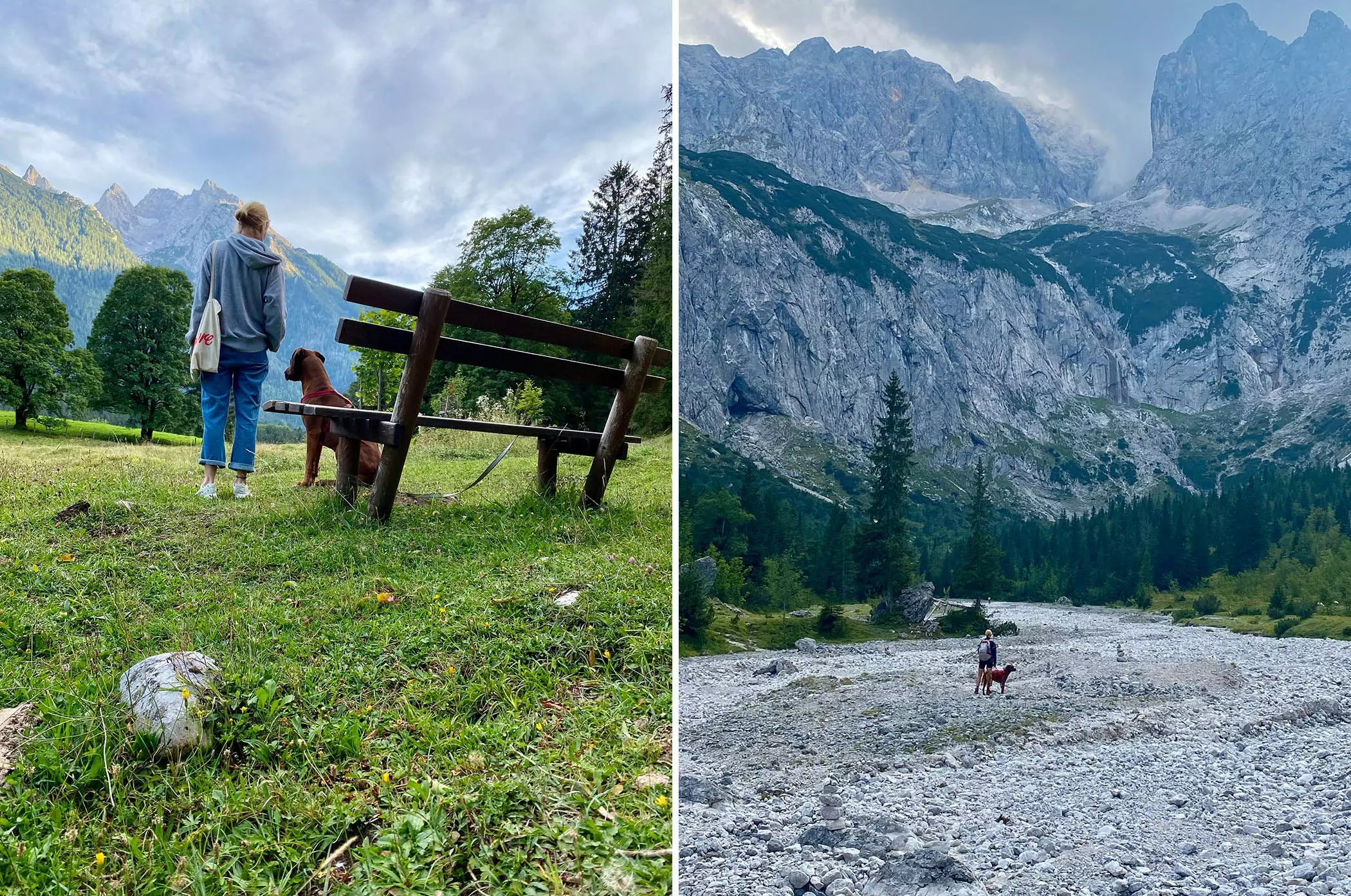 4-frau-hund-wandern