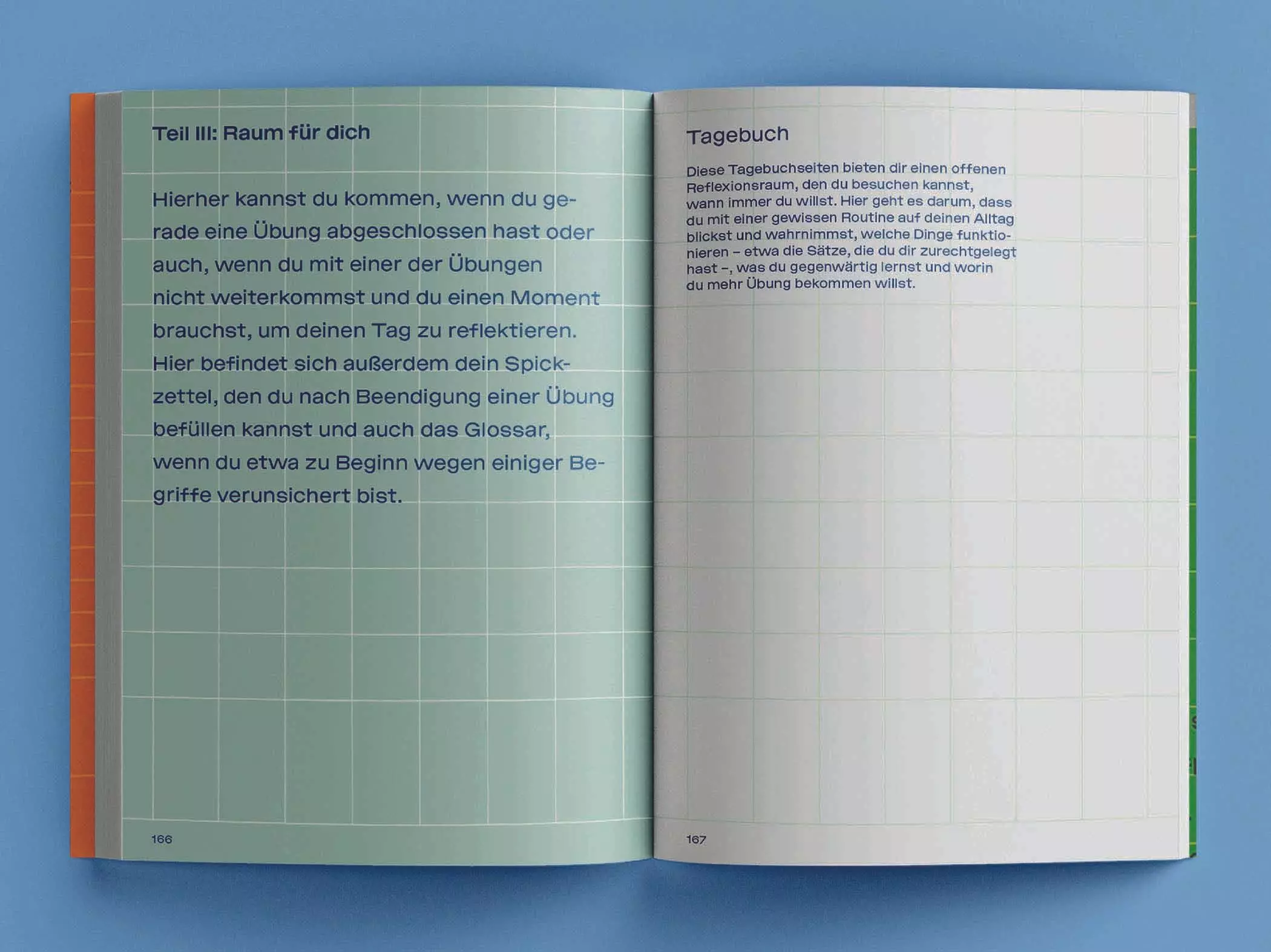 Workbook zum Thema Rassismus-Learnings - femtastics