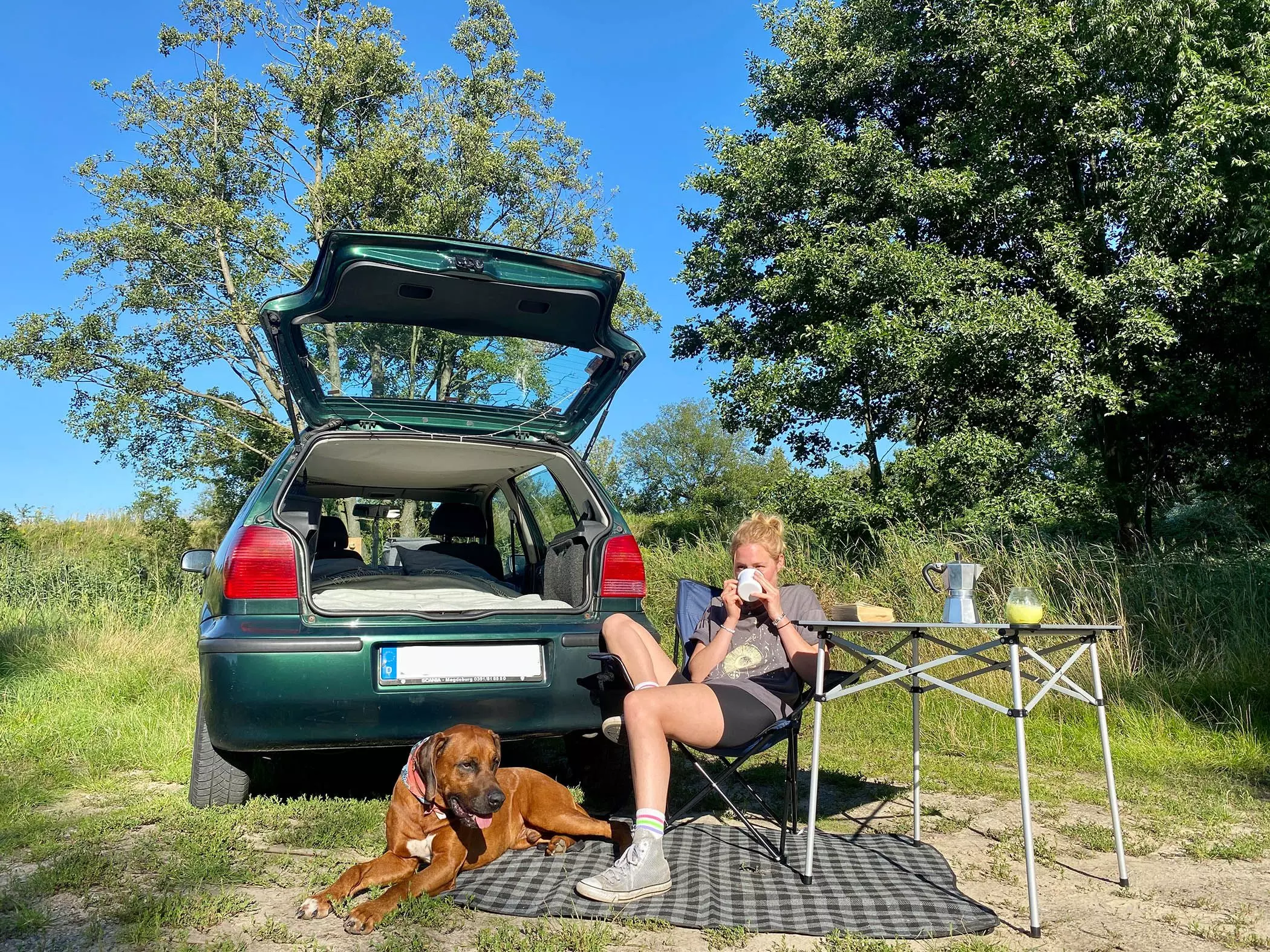 9-vanlife-hund