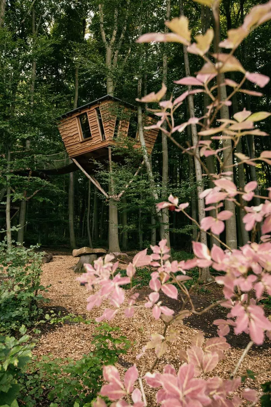 Baumhaushotel "Robins Nest"