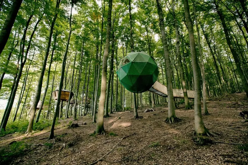 Baumhaus-Hotel "Robins Nest"