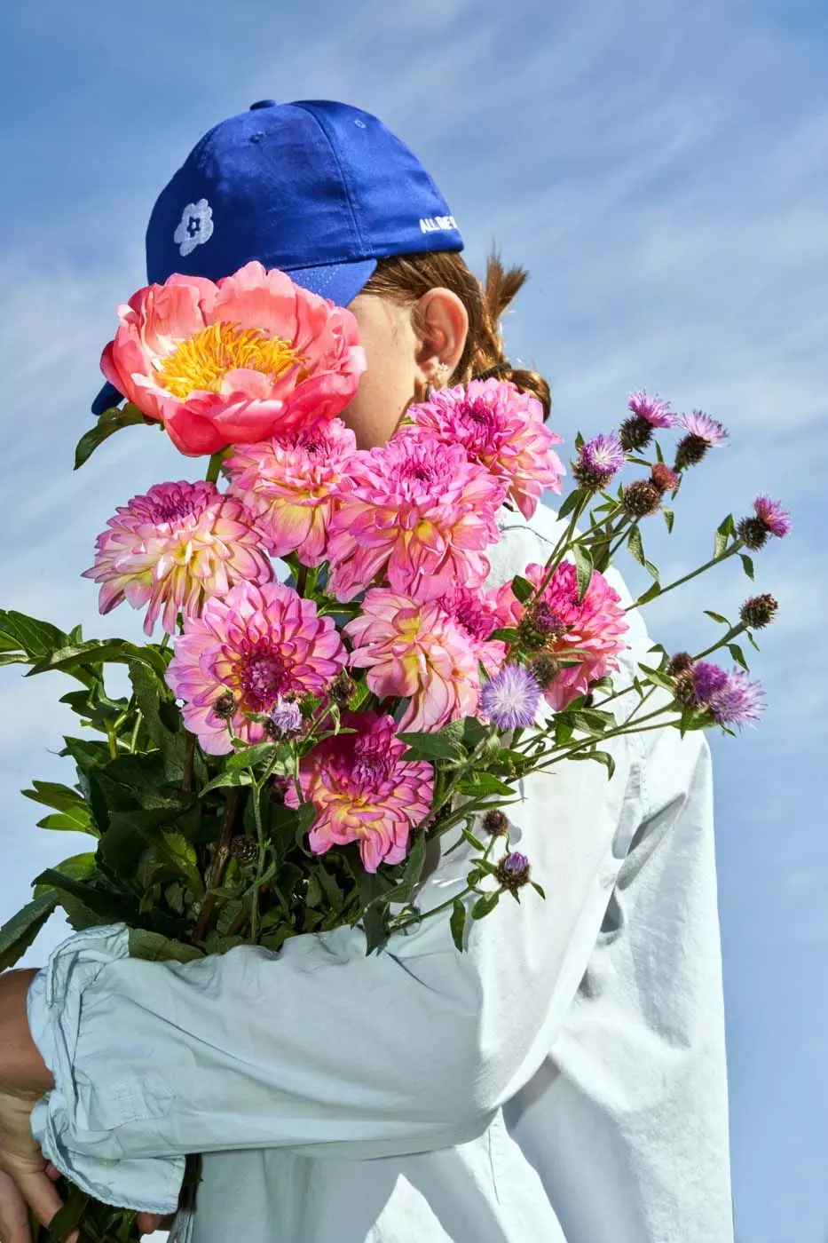 Rosa Blumen, All The Flowers