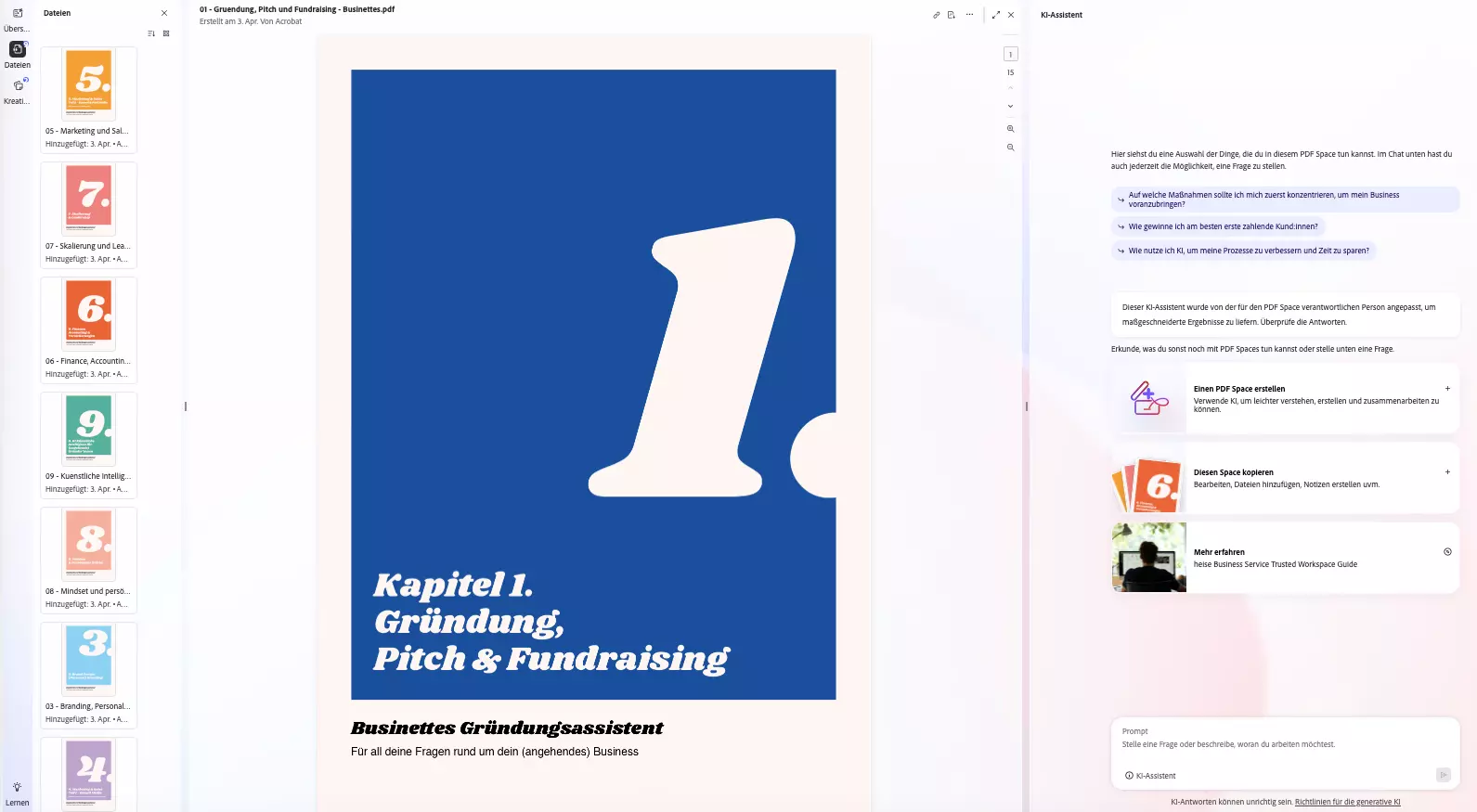 Adobe PDF-Space Gruendungs-Guide Screenshot 2