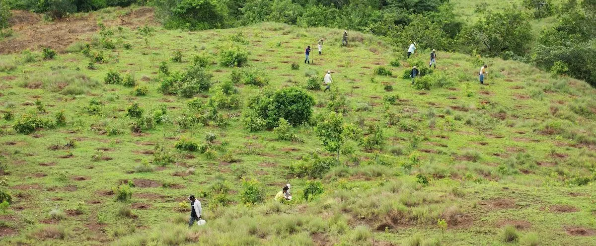 Aufforstungsaktion-in-Panama