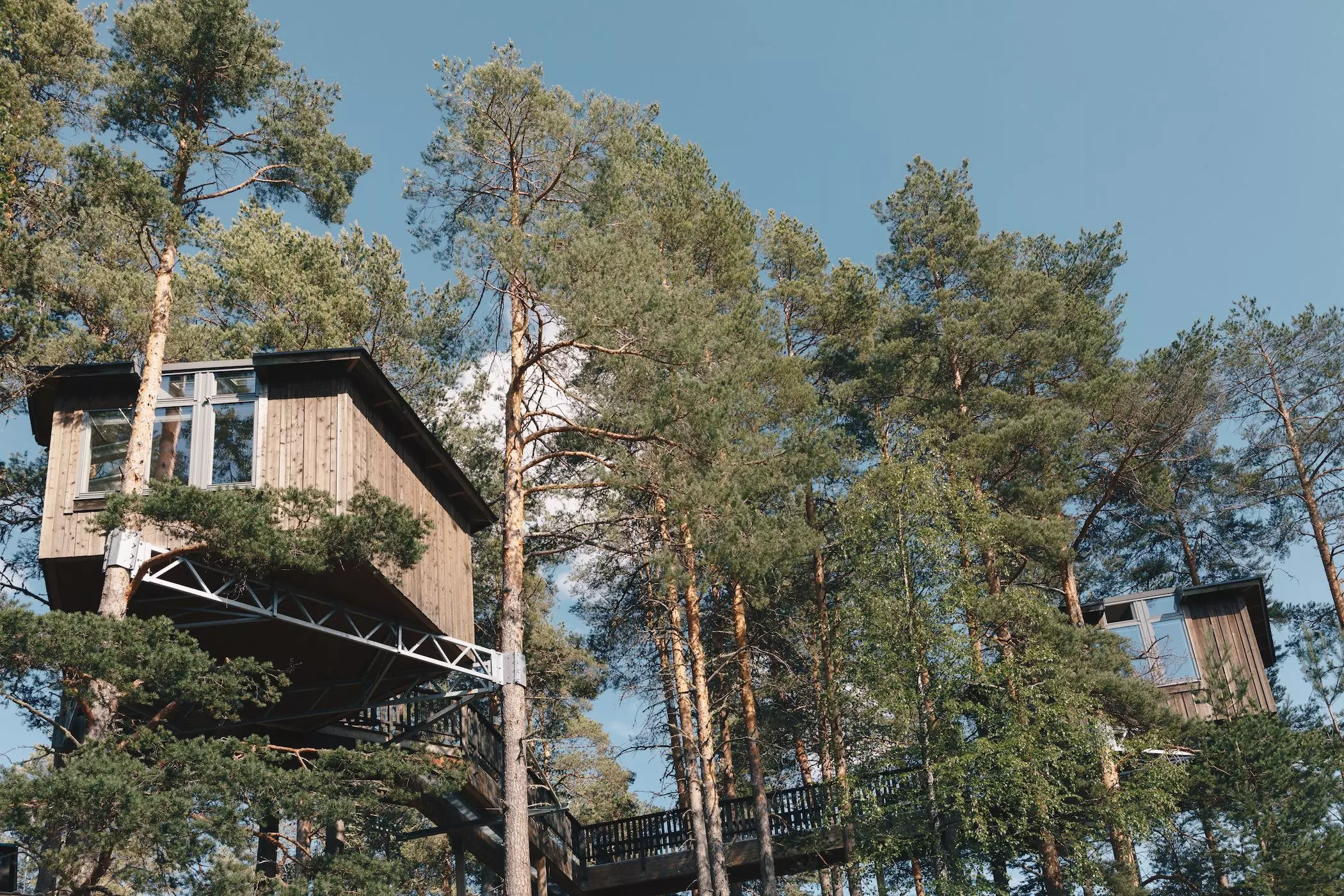 Baumhaus-Schweden