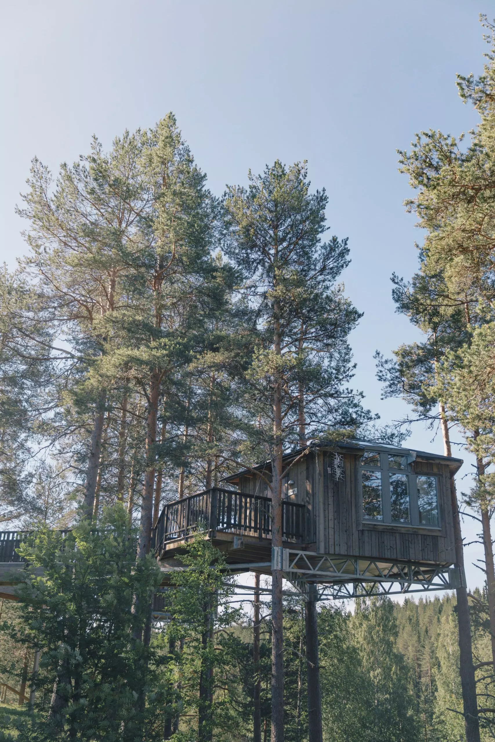 Baumhaushotel-Schweden