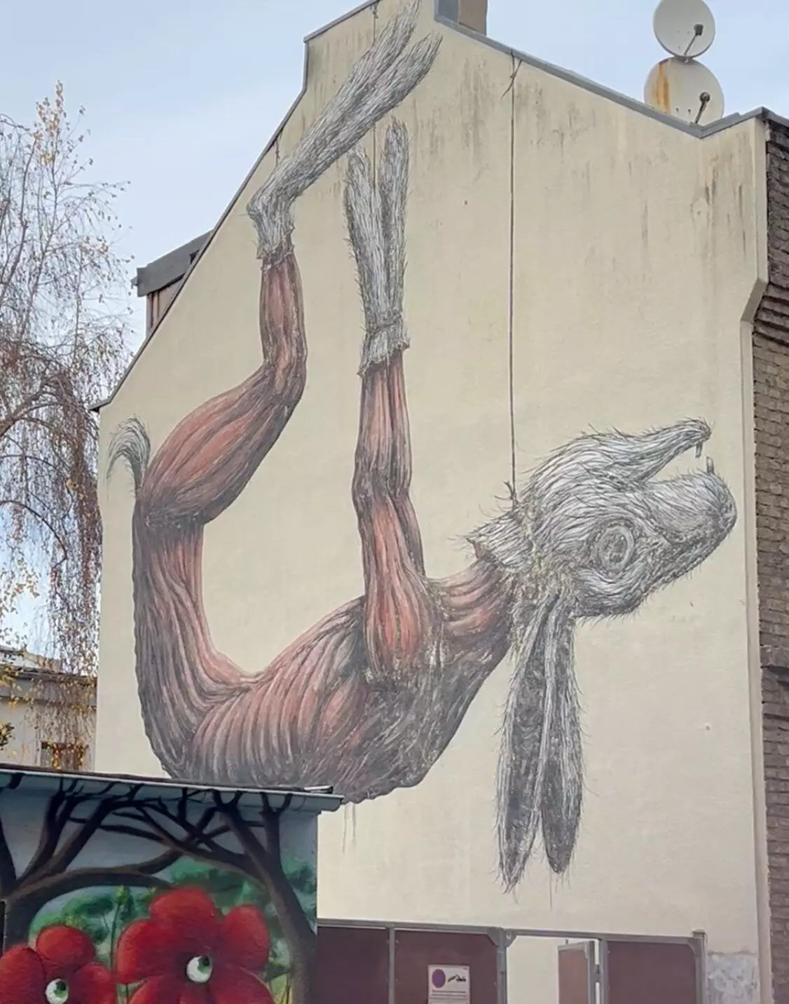 Bildschirmfoto 2024-12-09 um 11.29.27