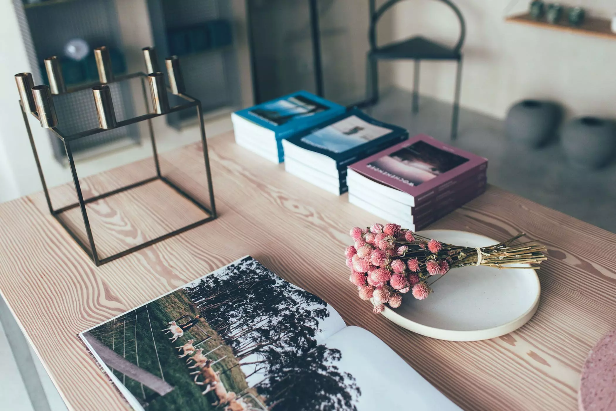 Buche-Take-me-to-the-Lakes