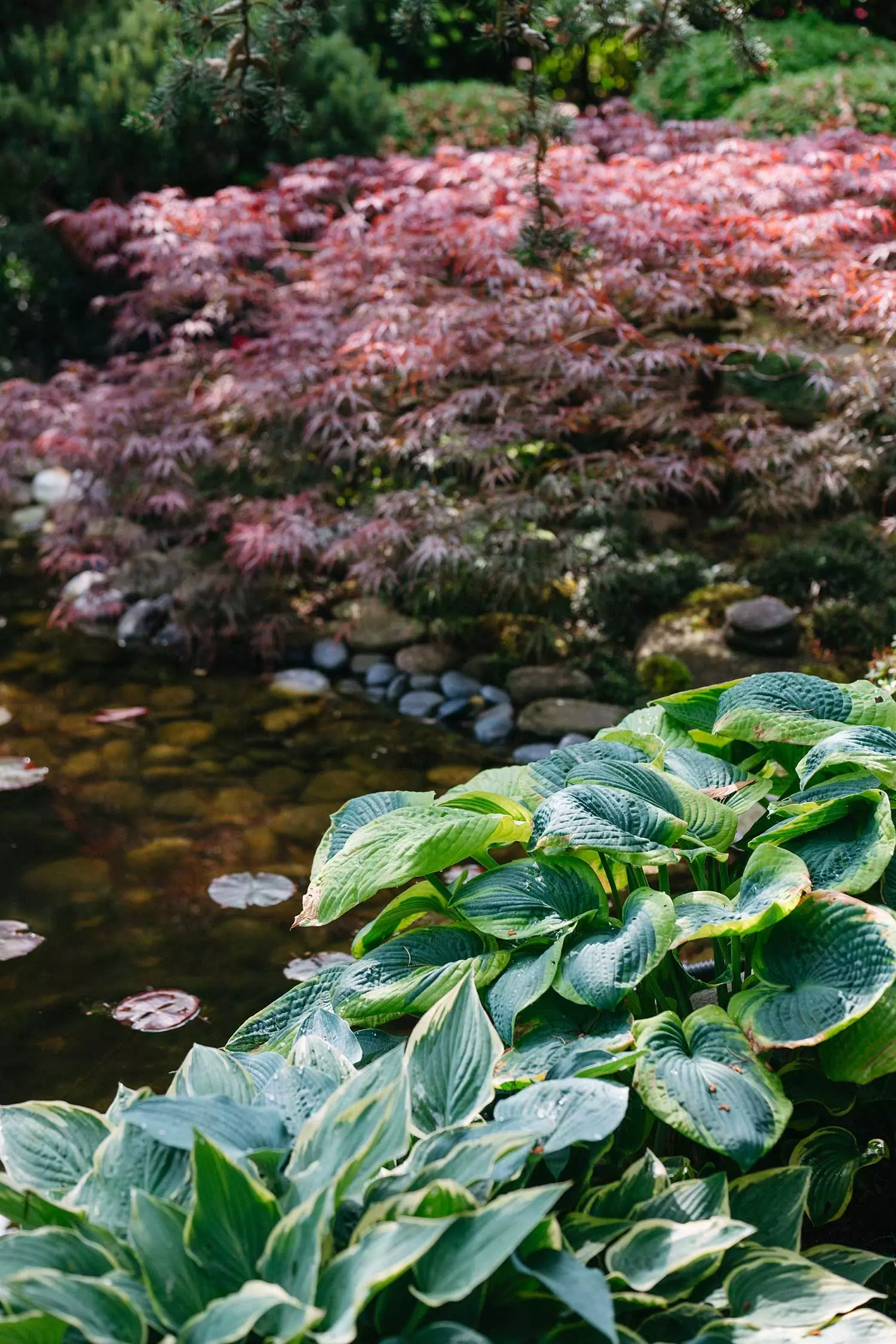 BungalowUlla_ClaudiaSimchen-38