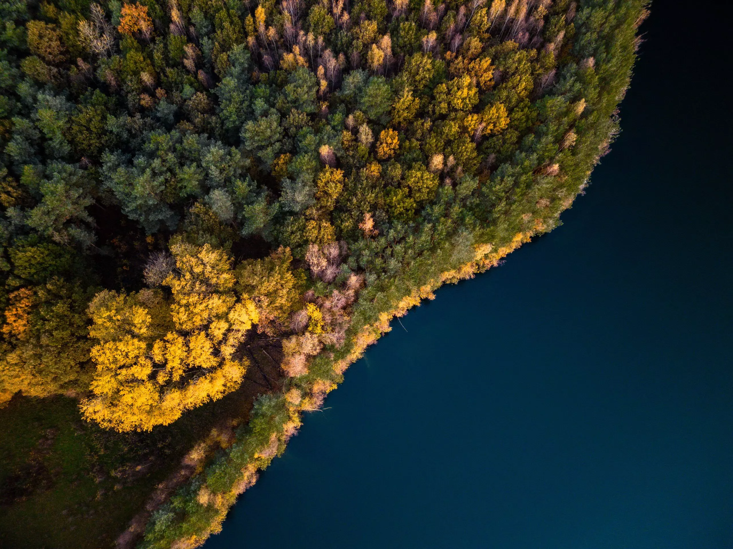 ChrisKoening-highres-62