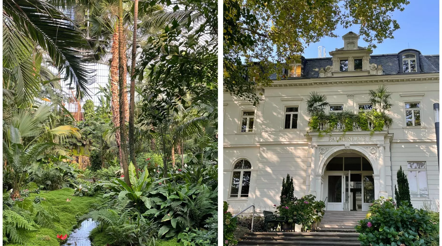 FFM Palmengarten