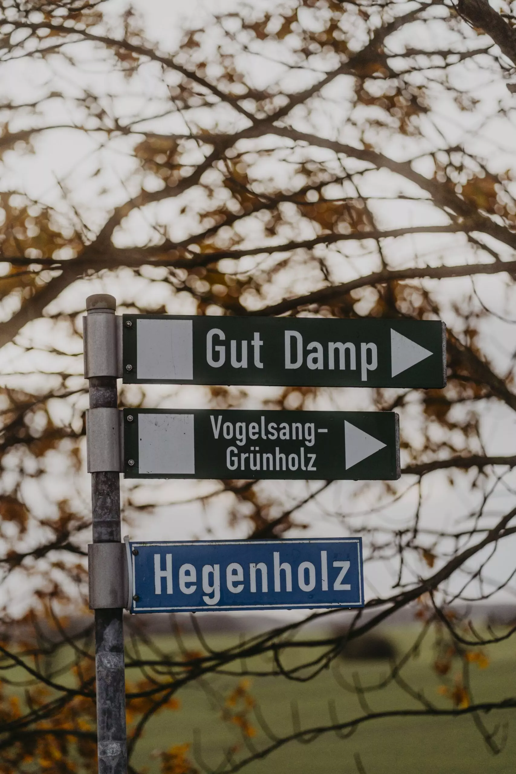 Less Stress Gut Damp