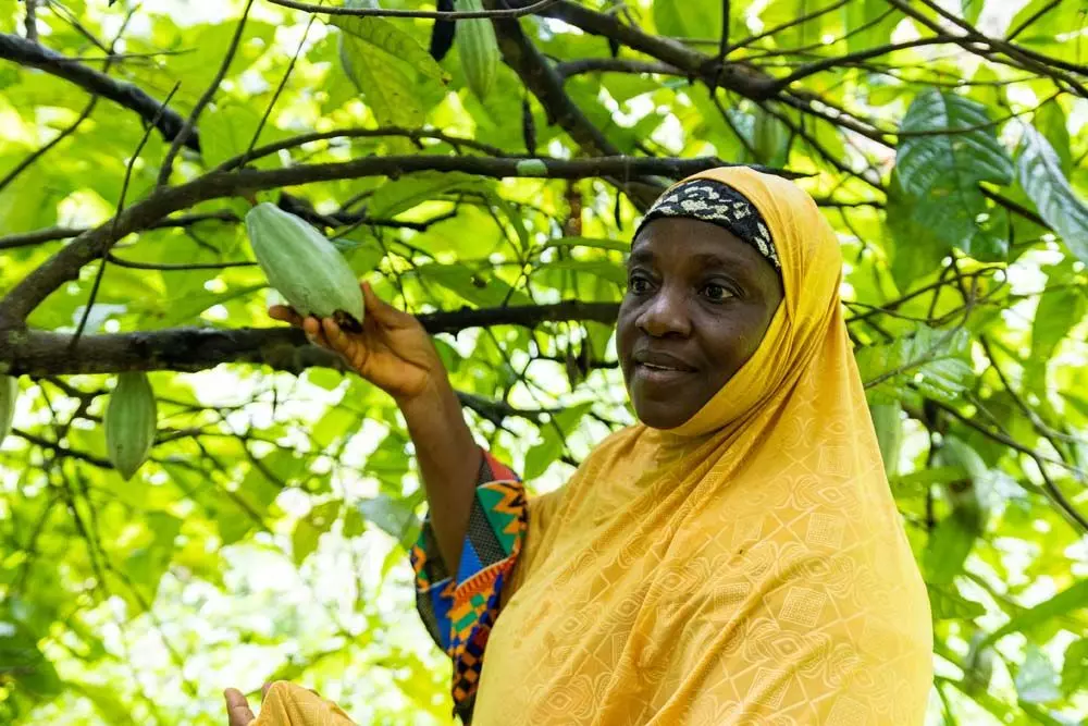 Fairtrade Kakaobaeuerin in Sierra Leone