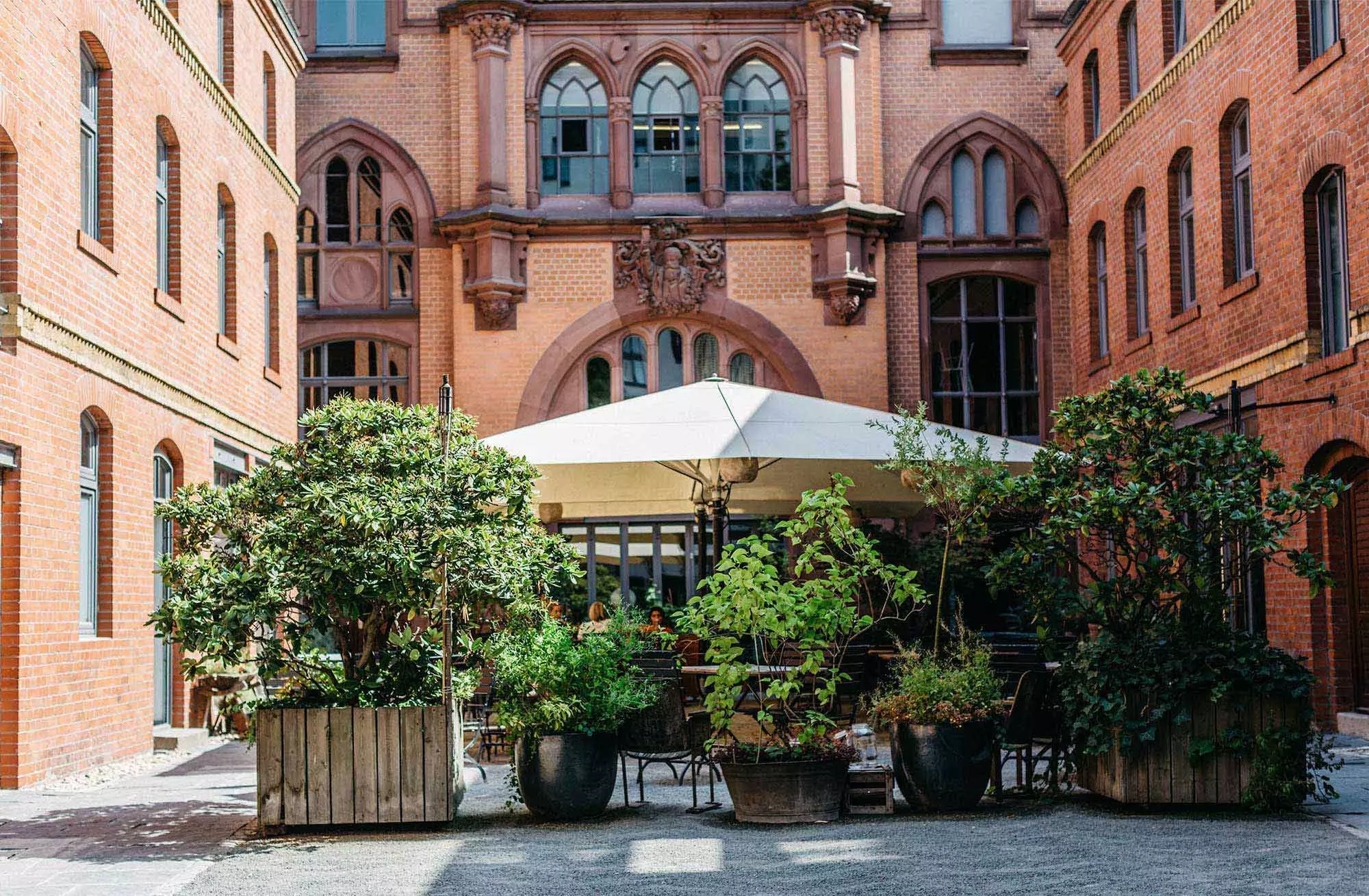 Femtastics-Katz-Orange-Berlin