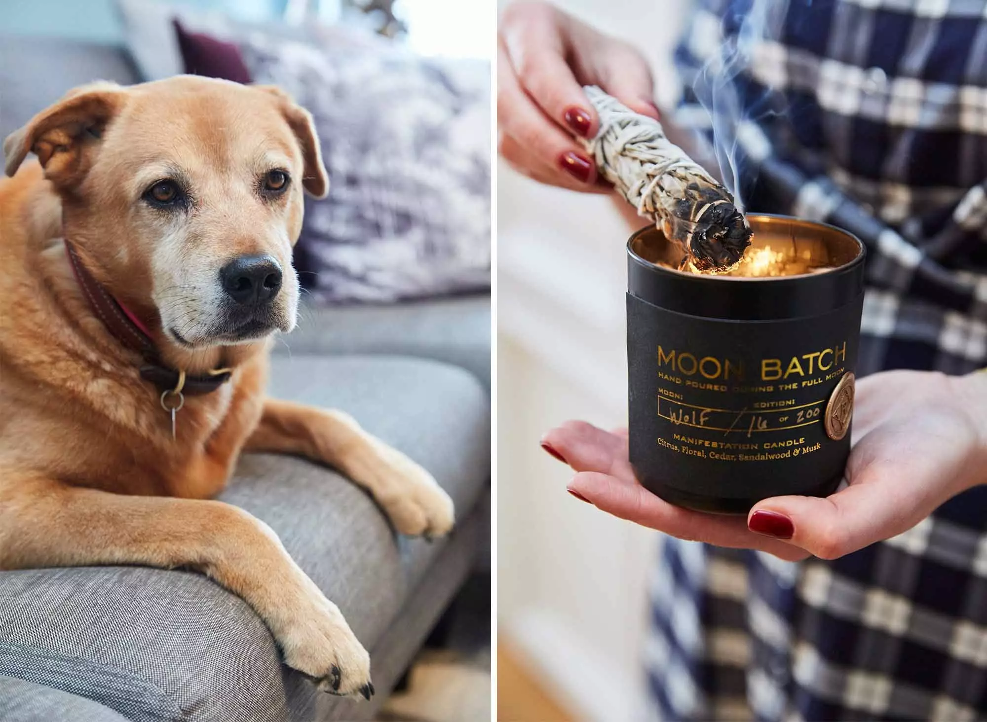 Femtastics_SoulZen_27