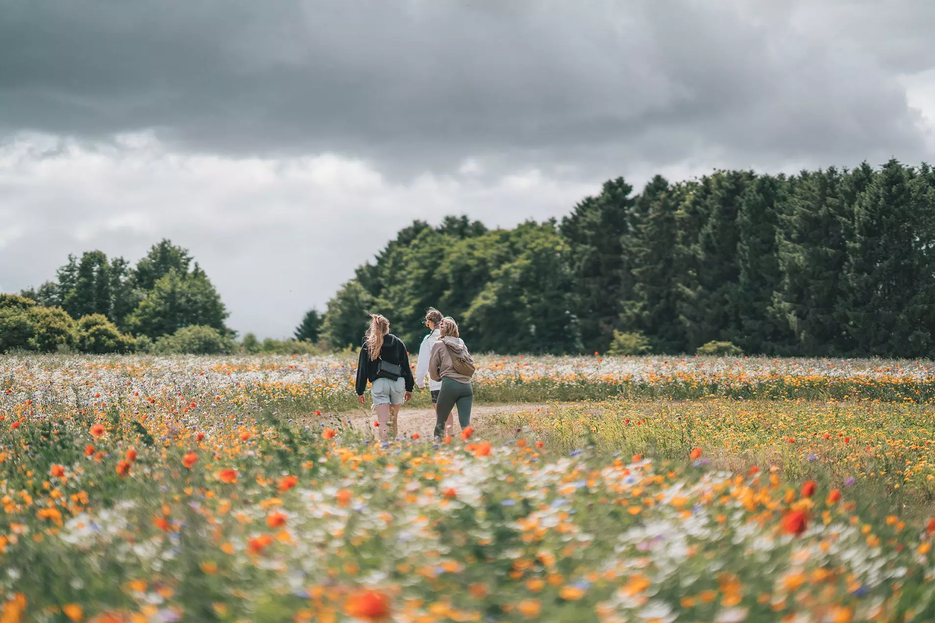 Blumenwiese Camp Adventure
