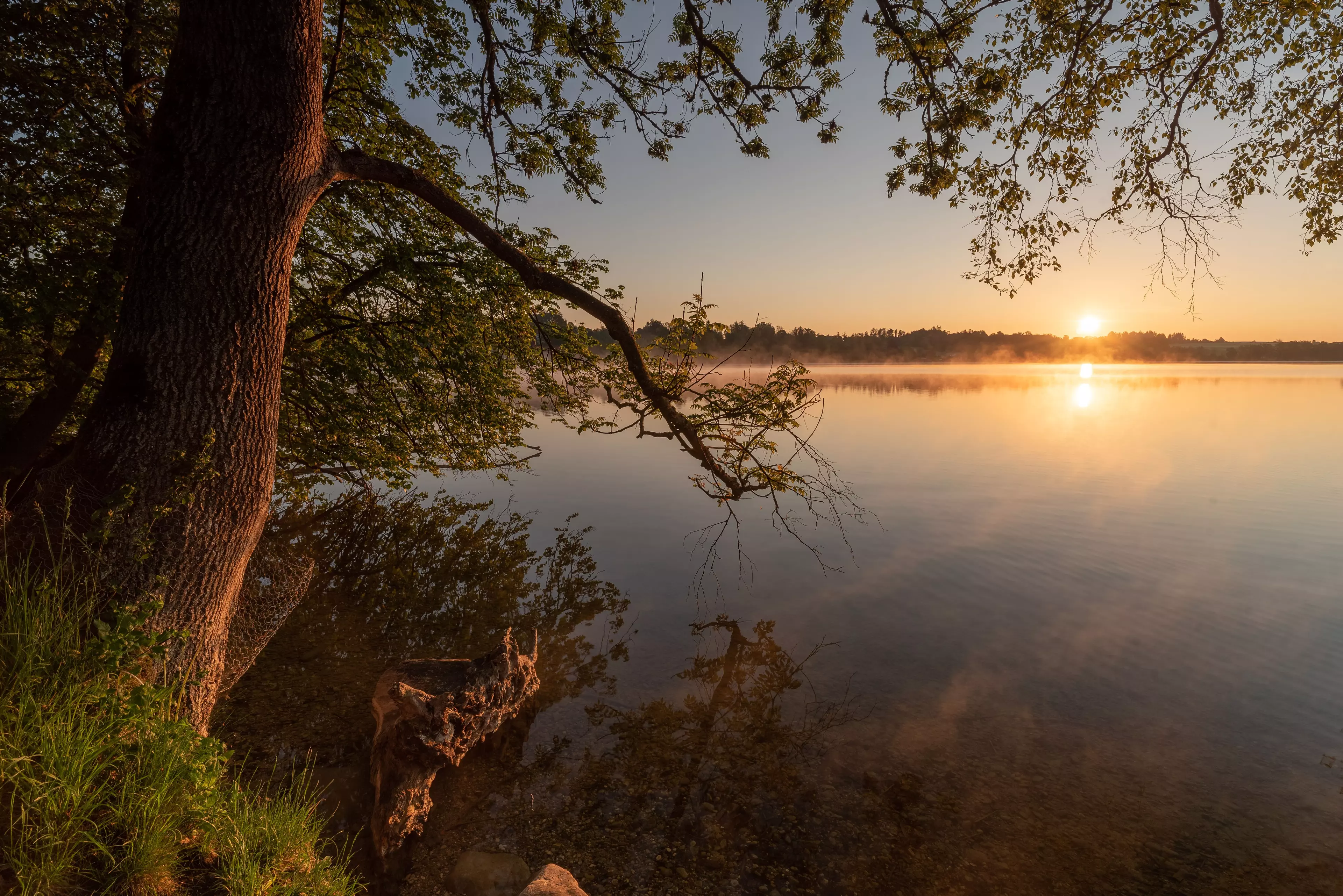 Frühling im Blauen Land, Sonne auf Wasser