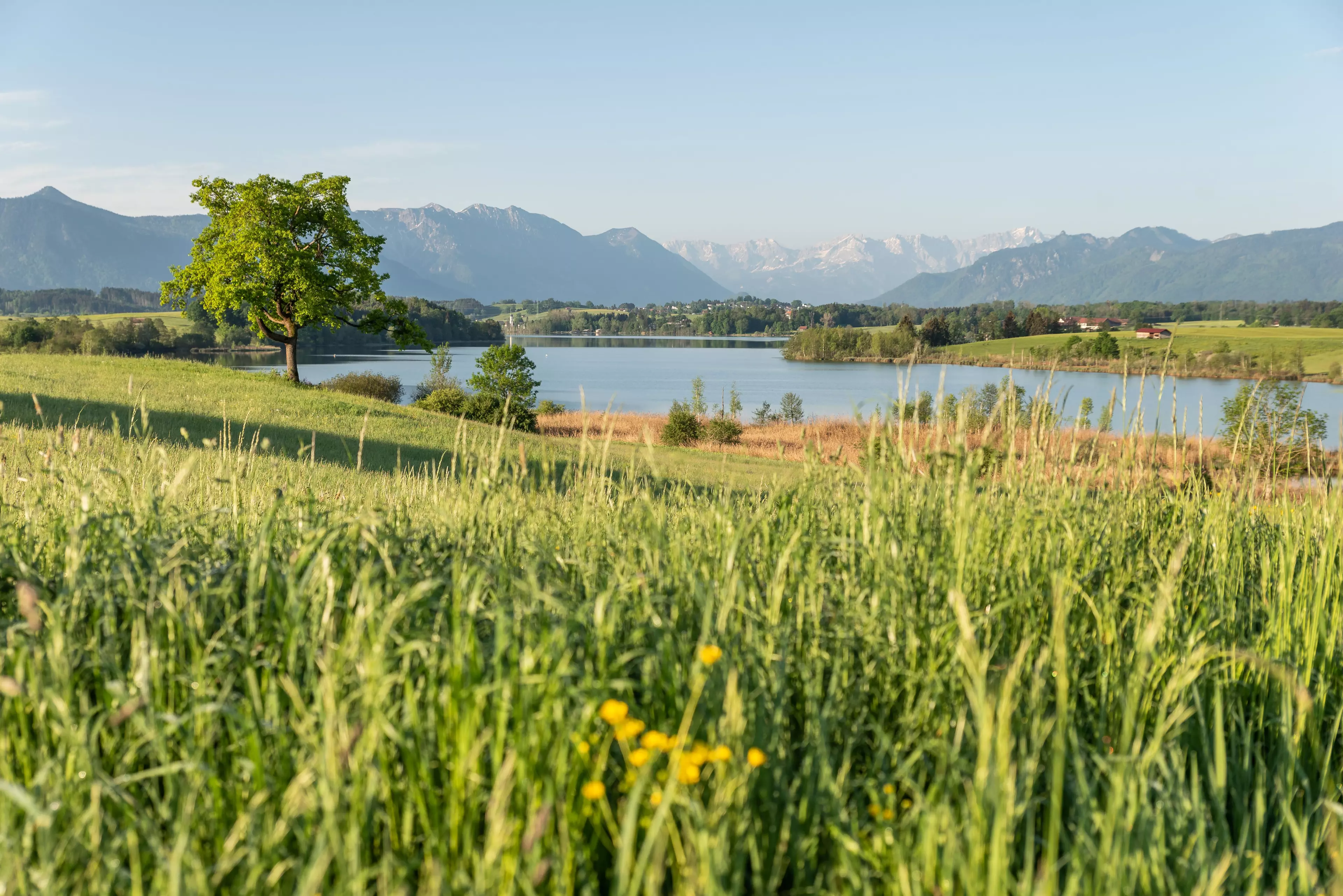 Frühling im Blauen Land