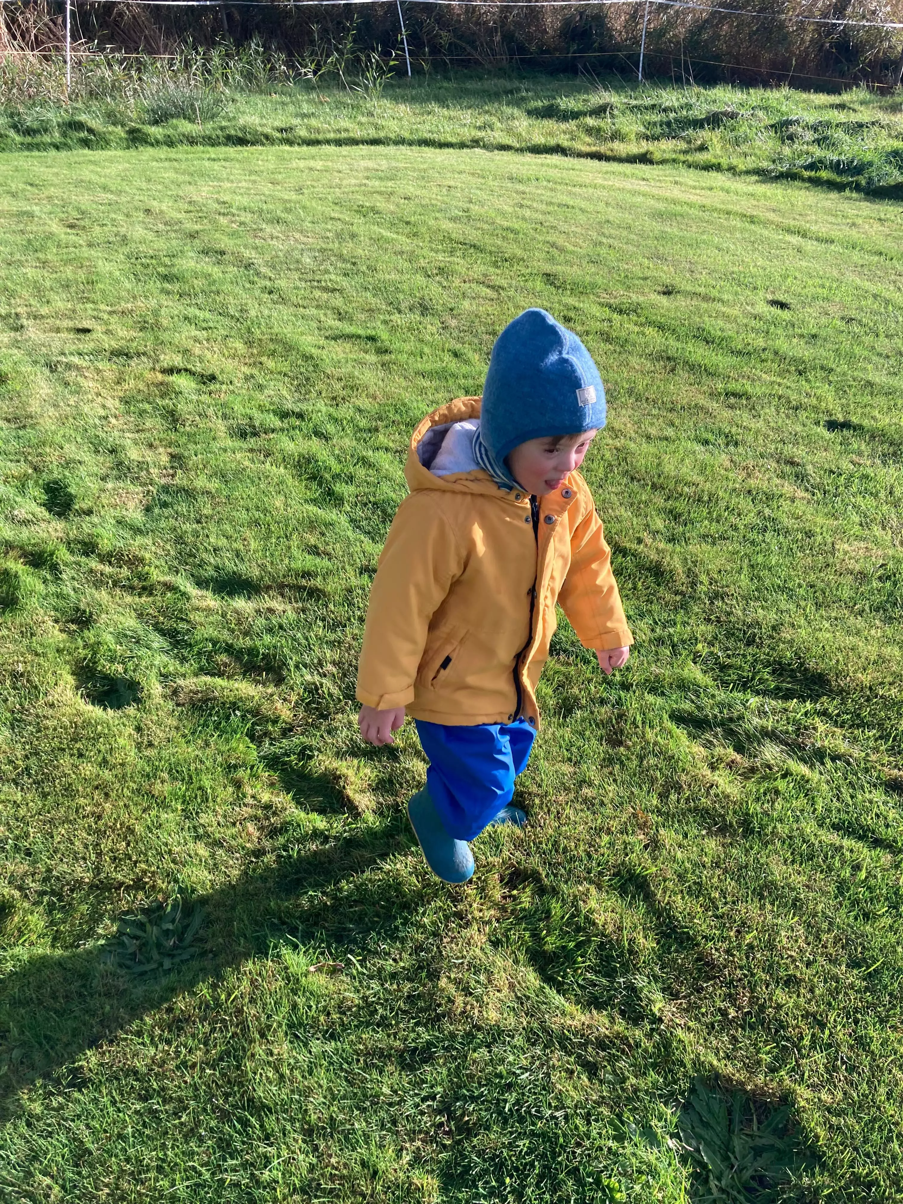 Junge mit Down-Syndrom auf einer grünen Wiese – Geraldine Kahl teilt Einblicke aus dem Leben mit Fritz bei Instagram.