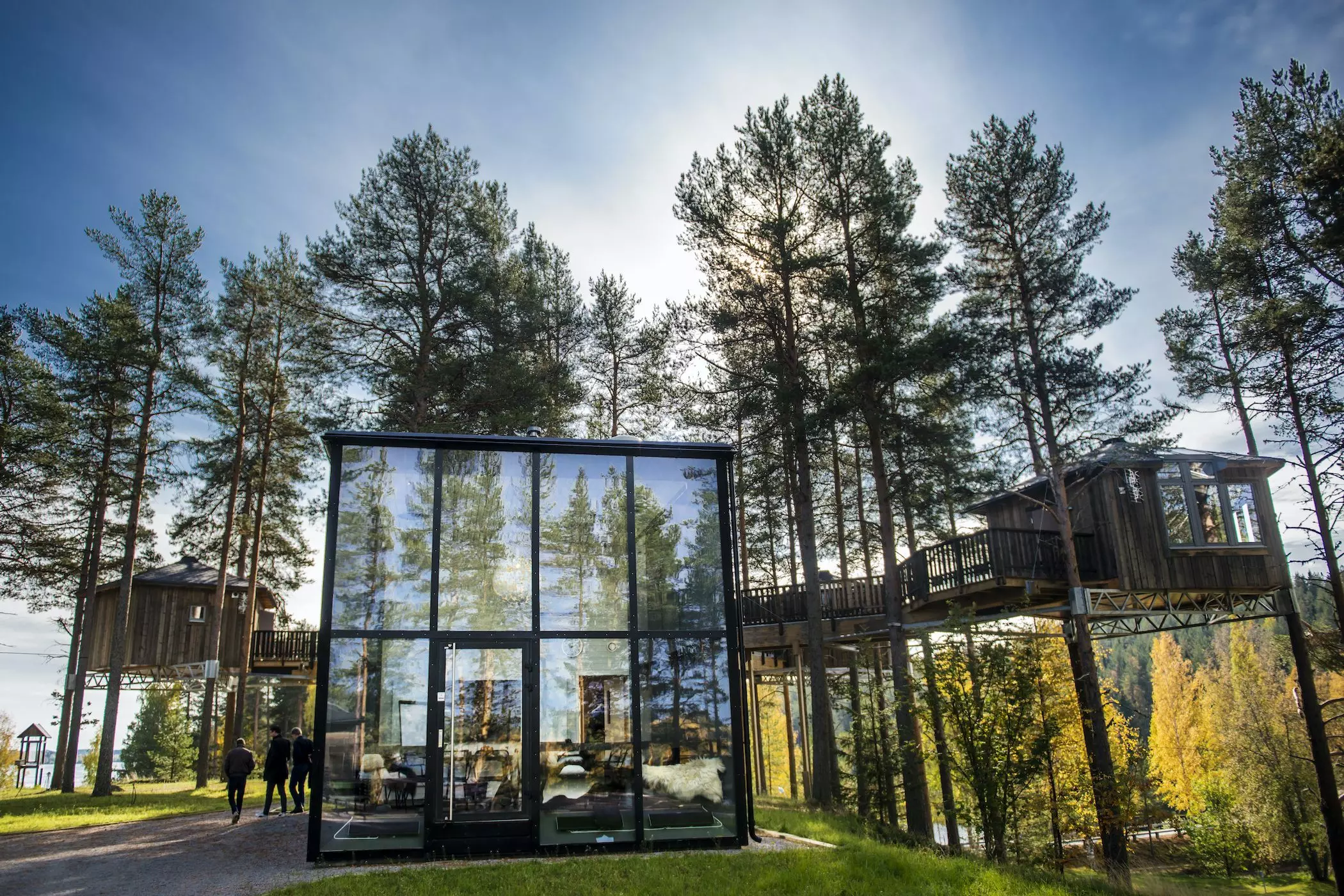 Glashaus-Wald-Schweden