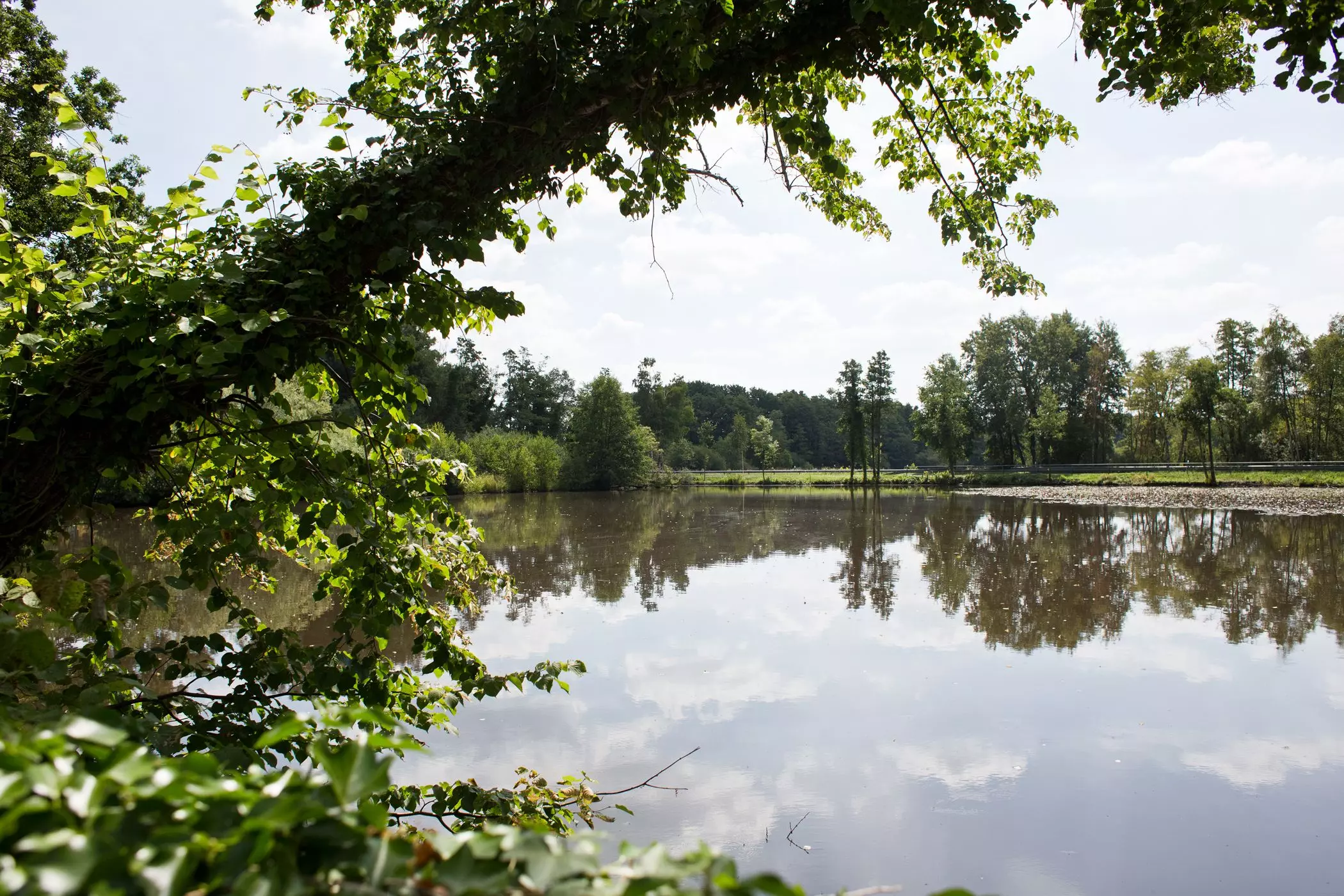 HausamSee-EBAYKLEINANZIEGEN