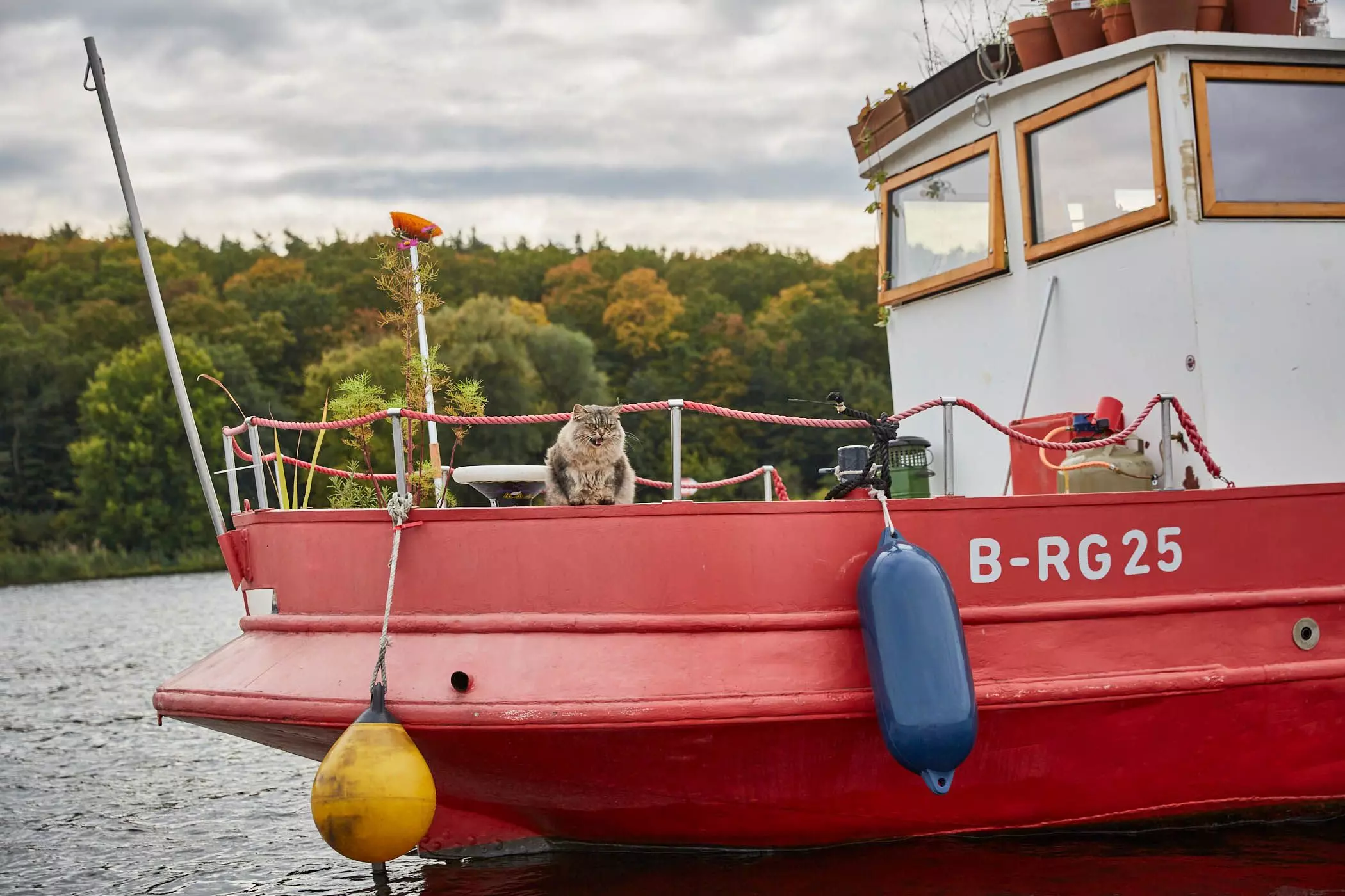 Hausboot-mit-Katze