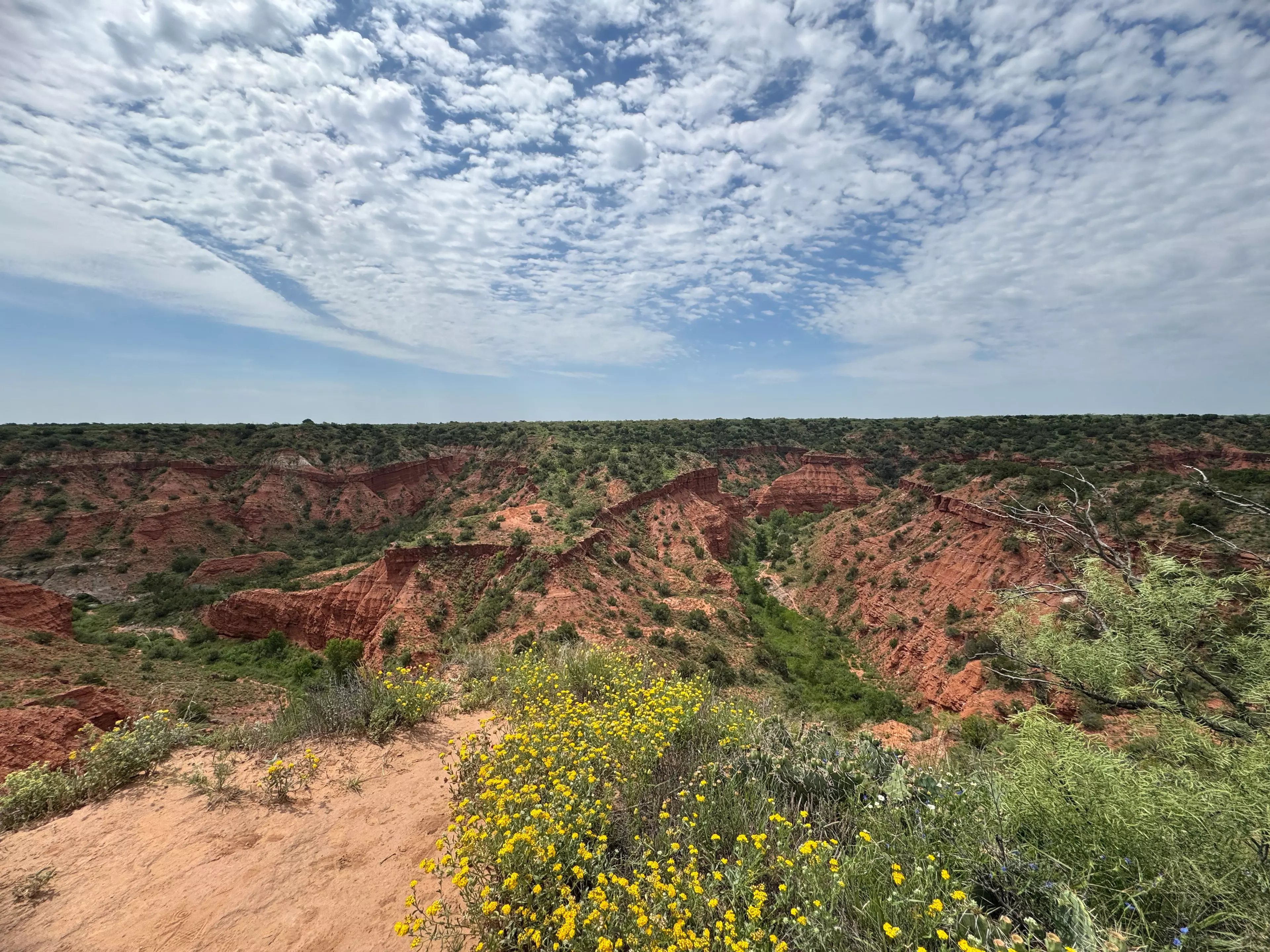 Caprock Canyon