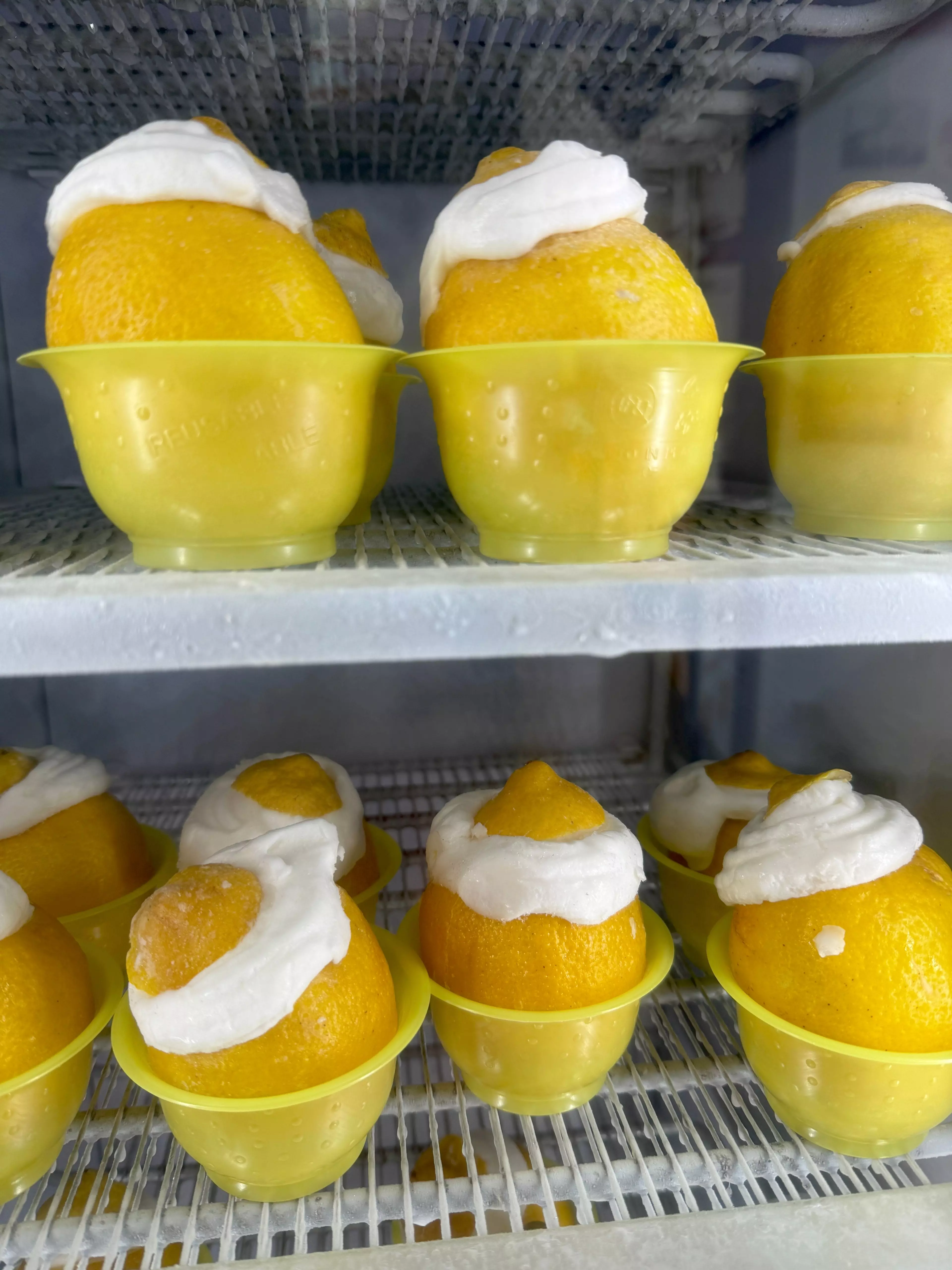 Zitronensorbet