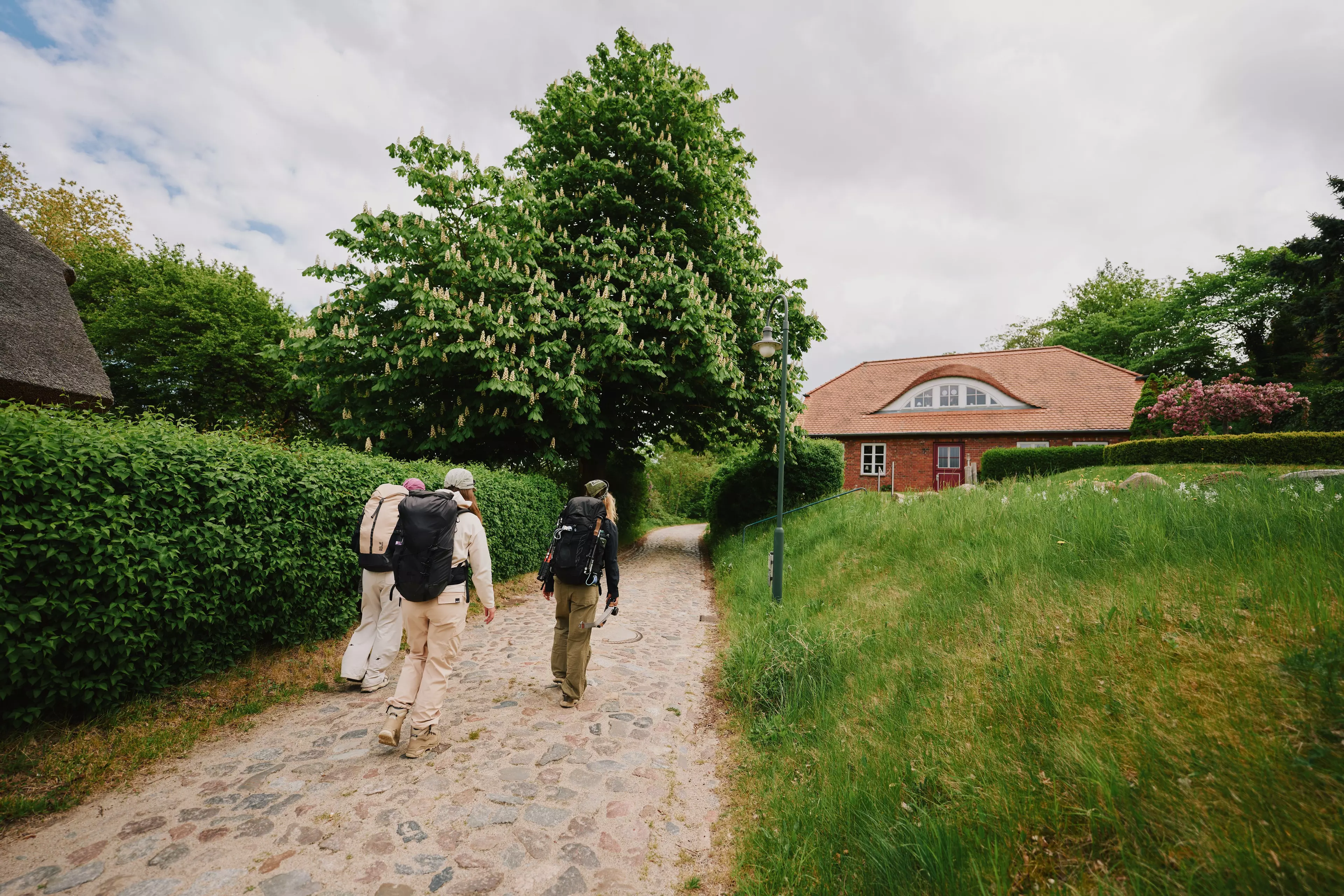 Abwechslungsreiche Trails zwischen Küstenpfaden und durch kleine Ostseeorte.