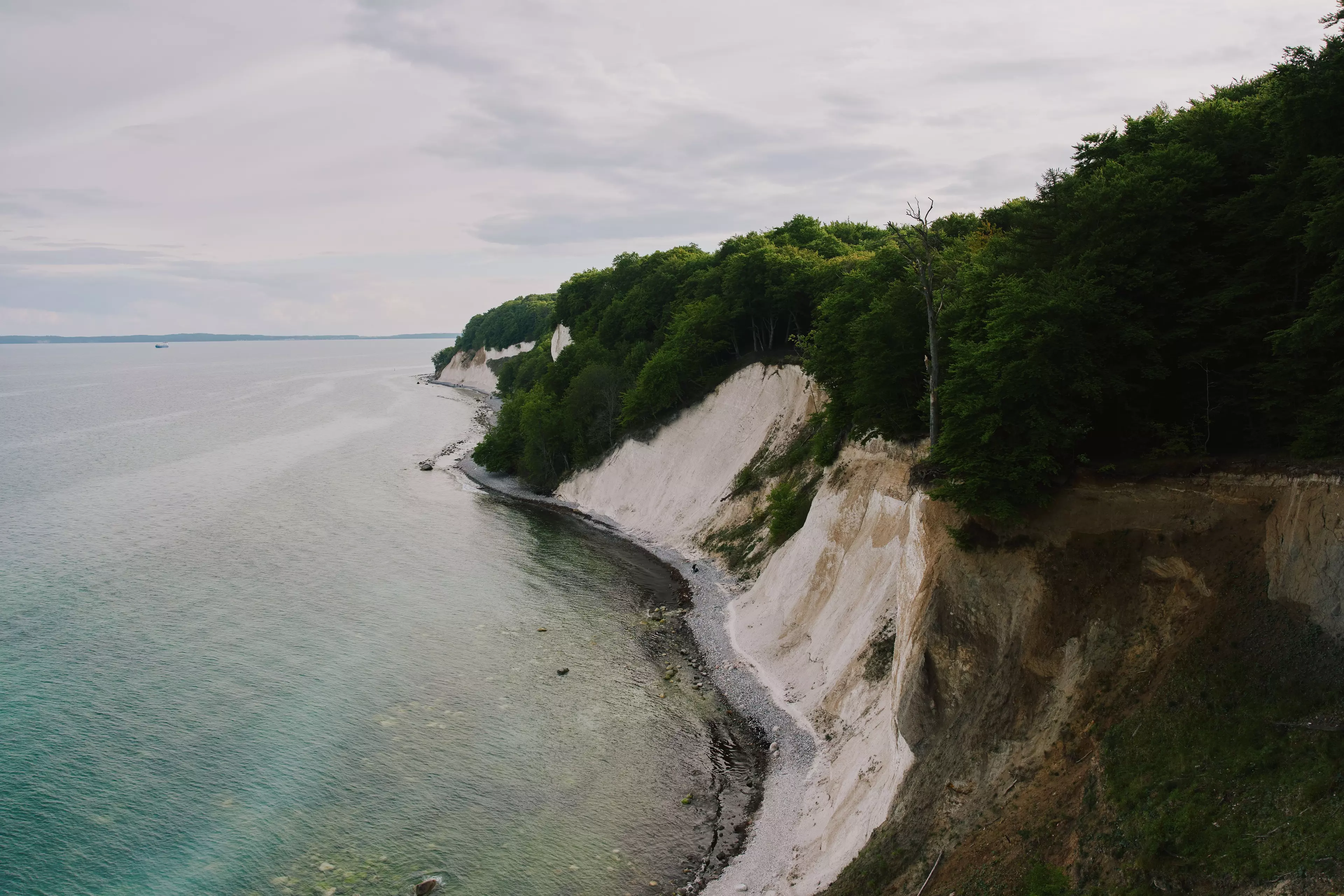 Der Nationalpark Jamsund an Rügens Nordküste ist bekannt für seine Kreidefelsen und uralten Buchenwälder.