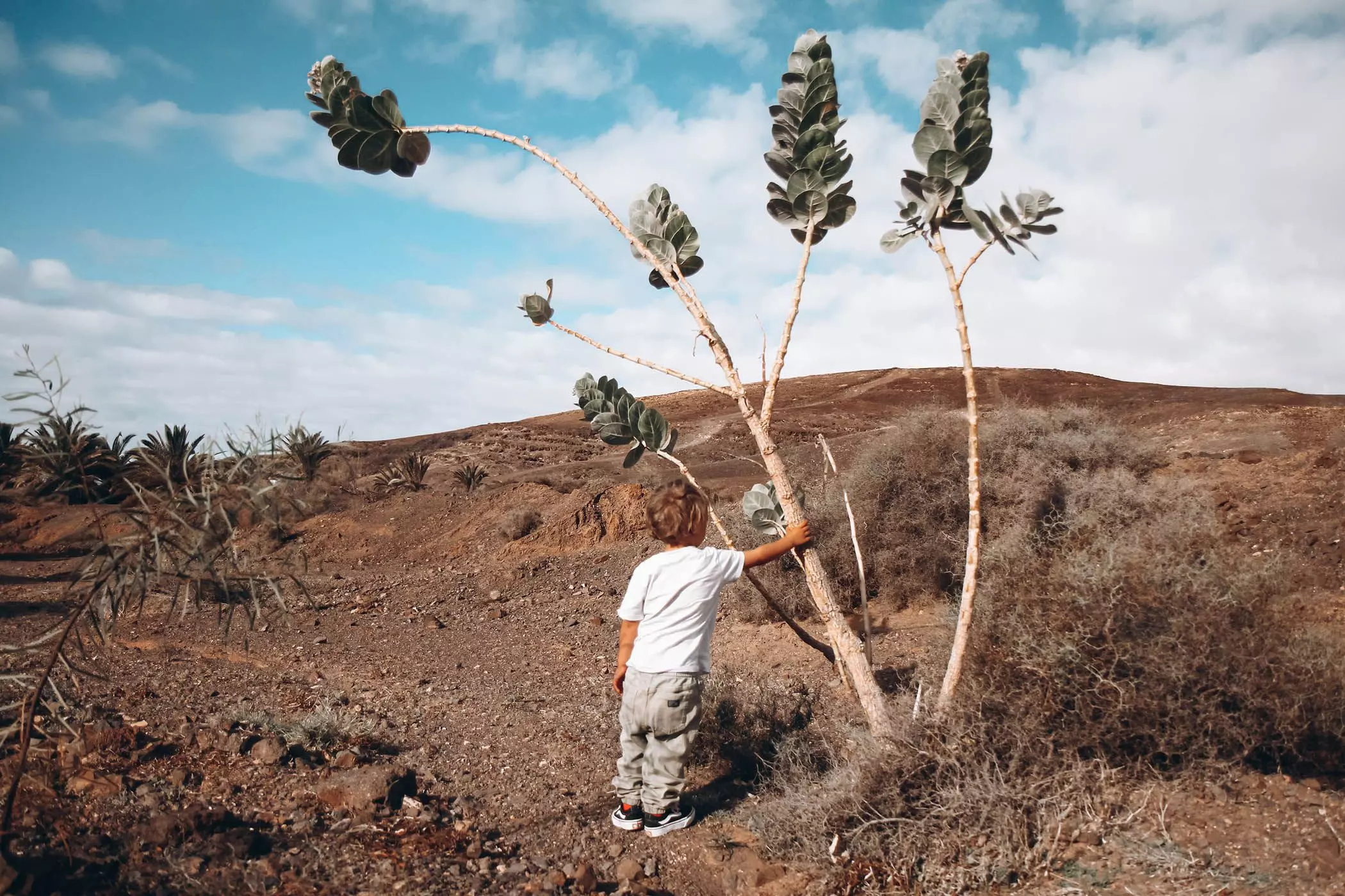 Kleiner Junge in der Wüste - femtastics