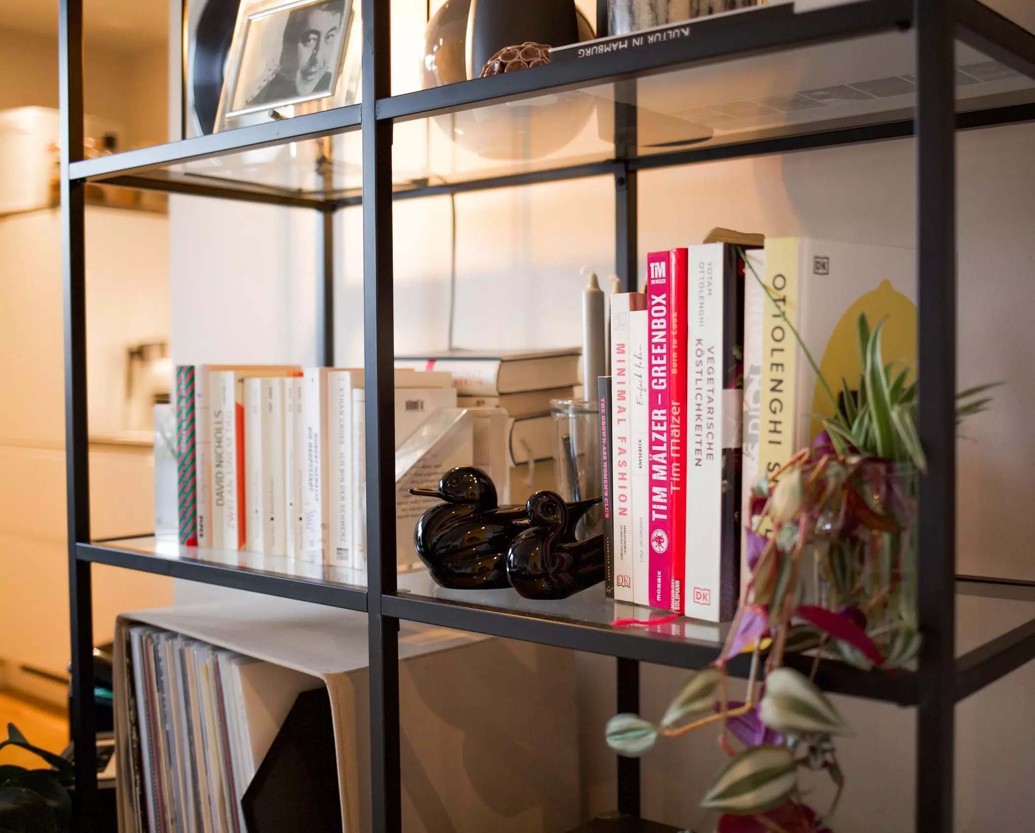 Modernes Bücherregal mit schwarzen Enten aus Keramik - femtastics