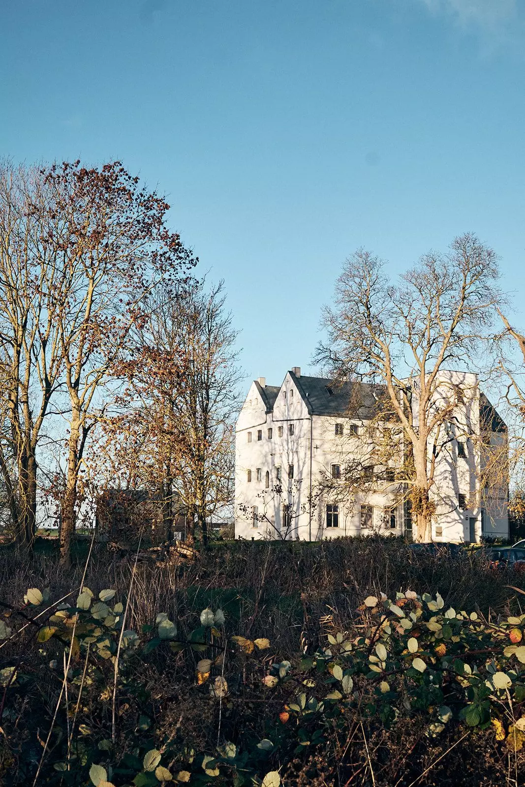 Kindclub Inner Landscape Retreat