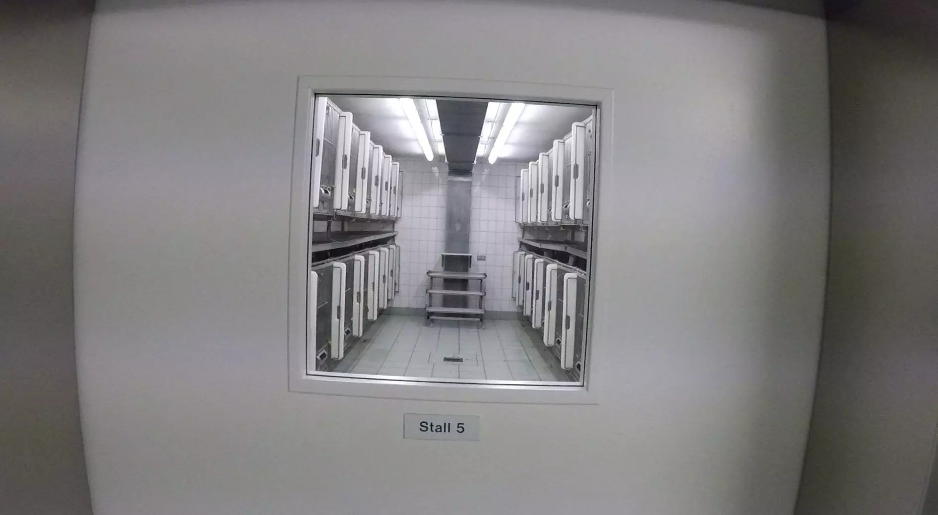 LPT-Labor-Interview-1