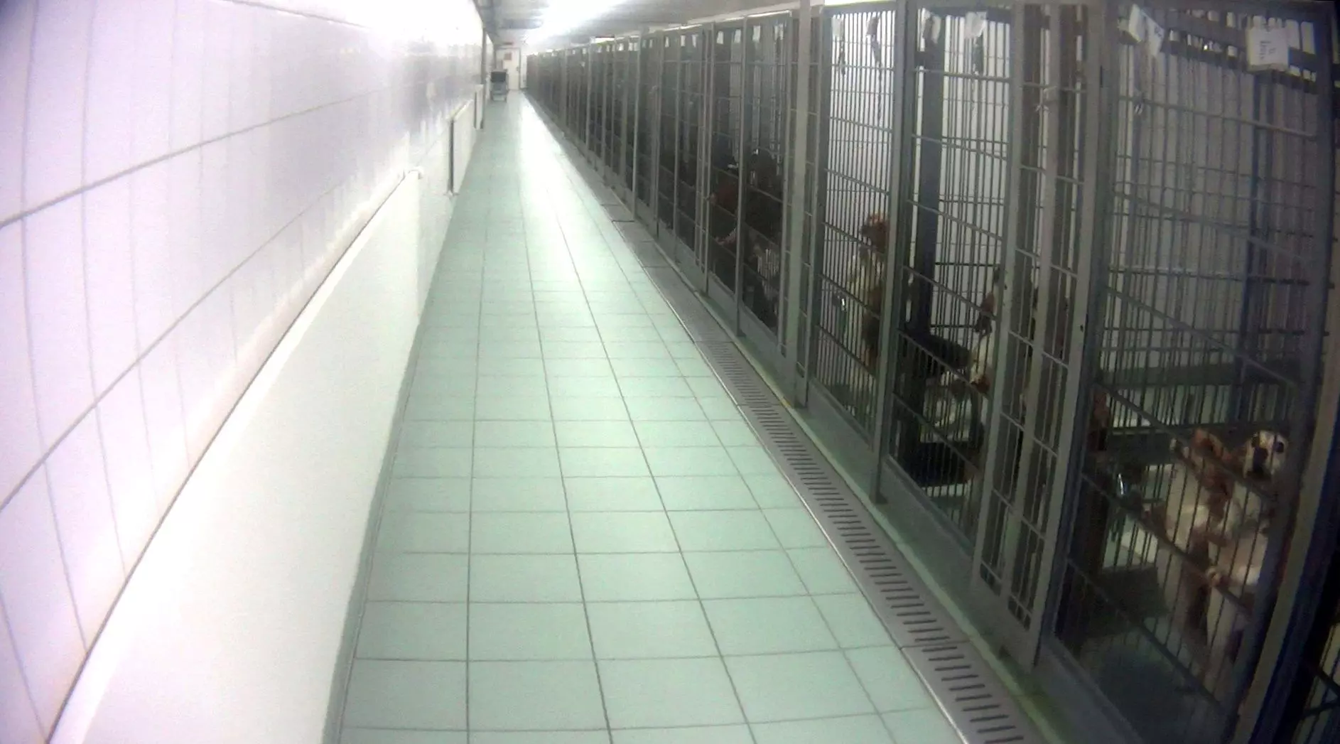 LPT-Labor-Schliessung